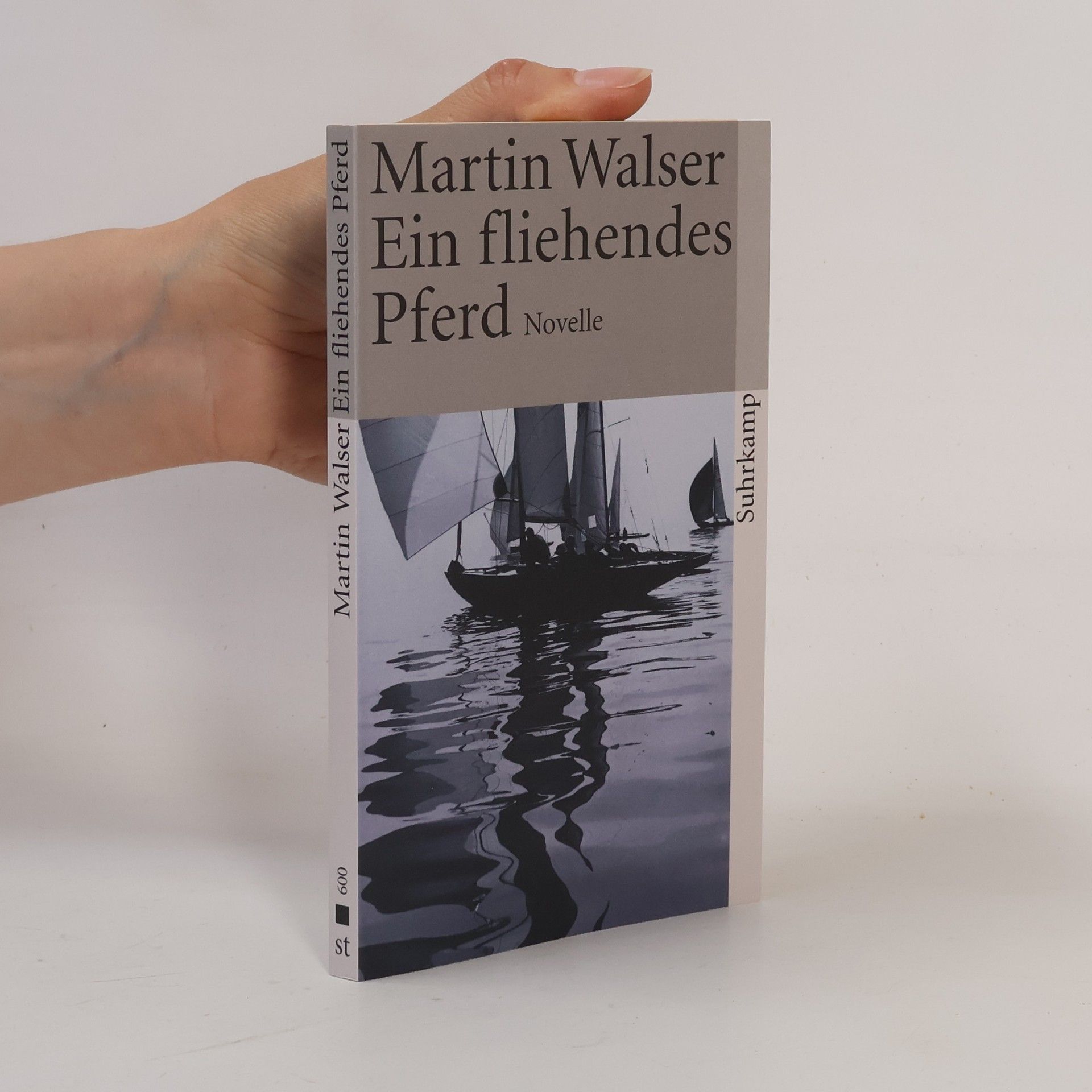 Martin Walser Ein fliehendes Pferd
