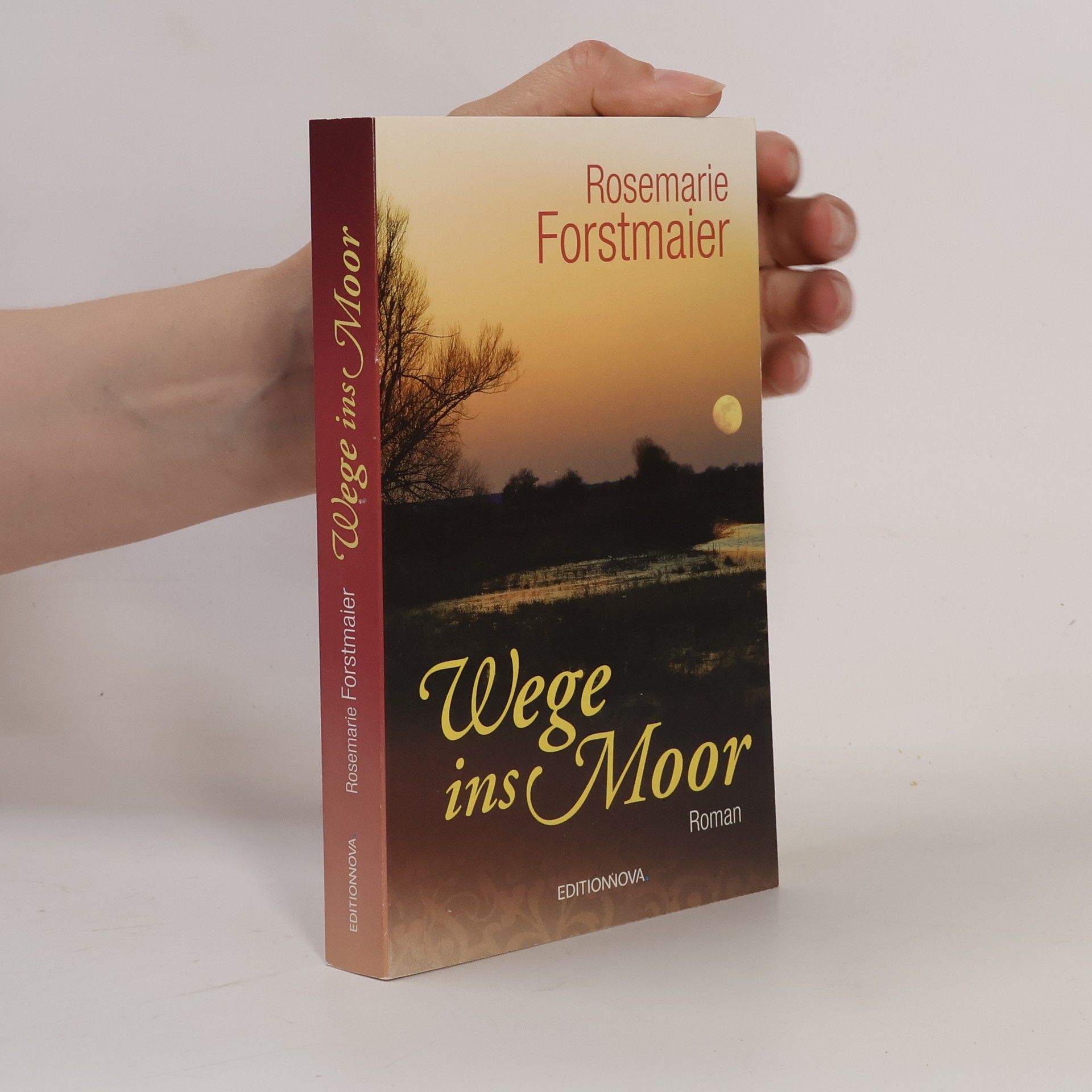 Rosemarie Forstmaier Wege ins Moor