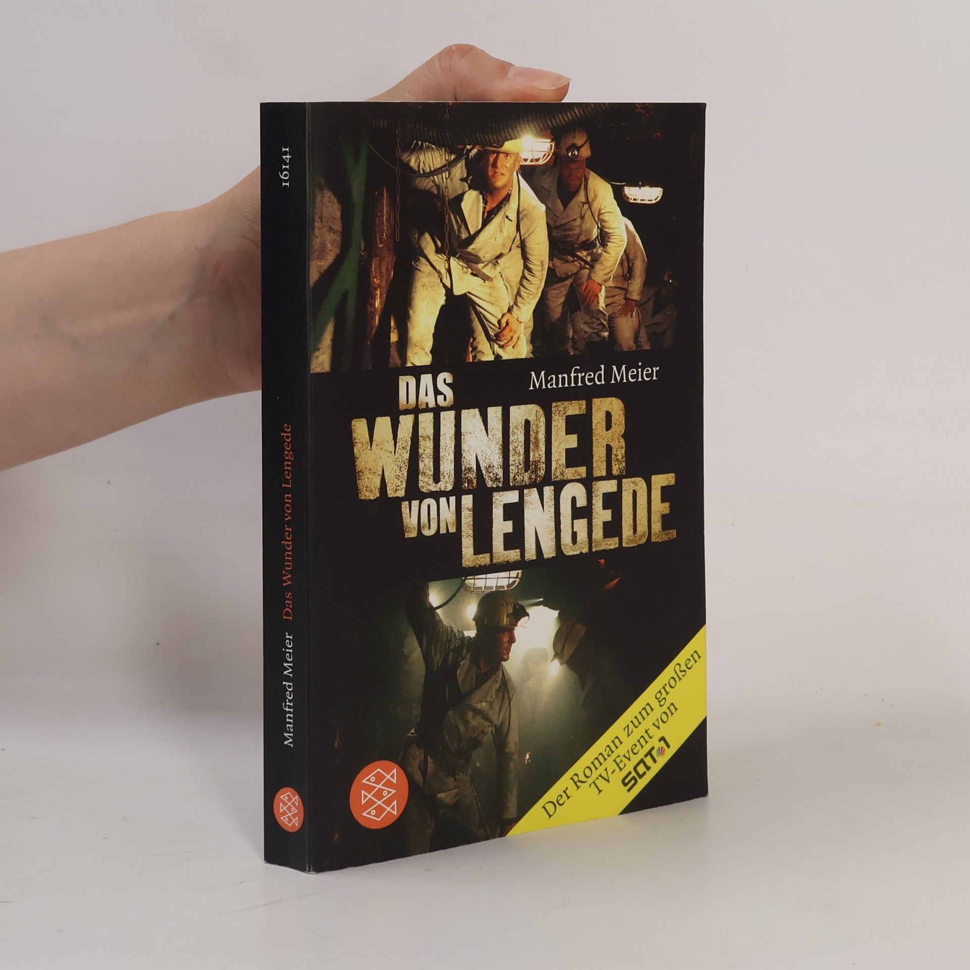 Manfred Meier-Sieden Das Wunder von Lengede