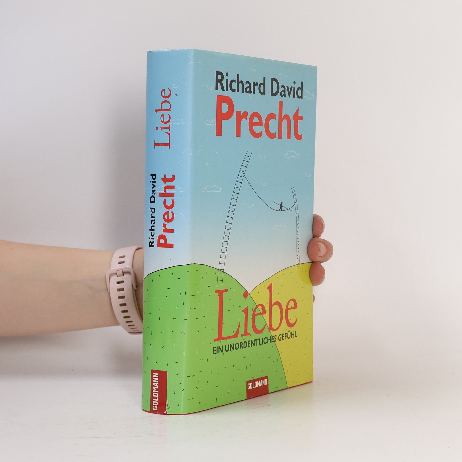 Richard David Precht Liebe ein Unordentliches Gefühl