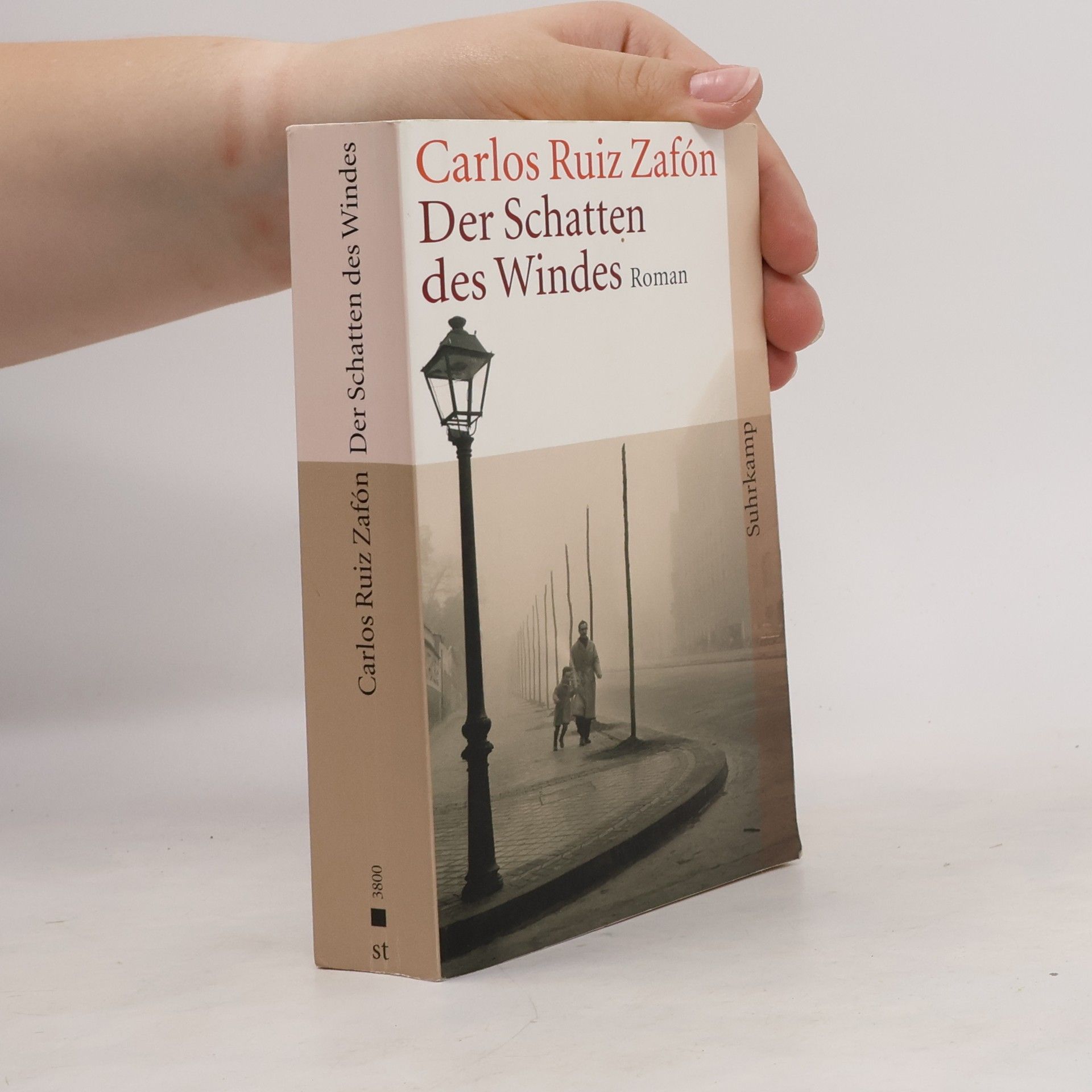 Carlos Ruiz Zafón Der Schatten des Windes