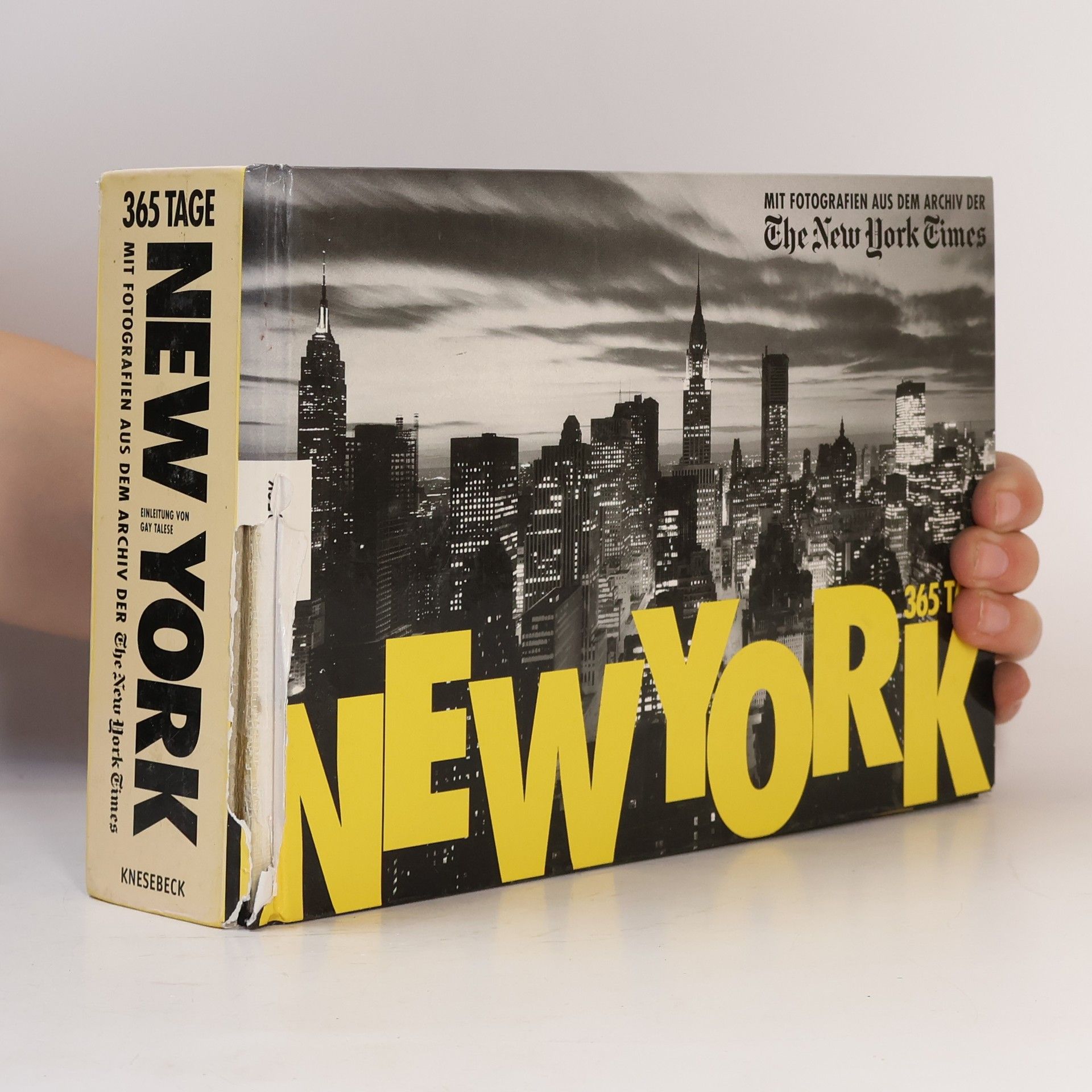 Manfred Allié New York - 365 Tage