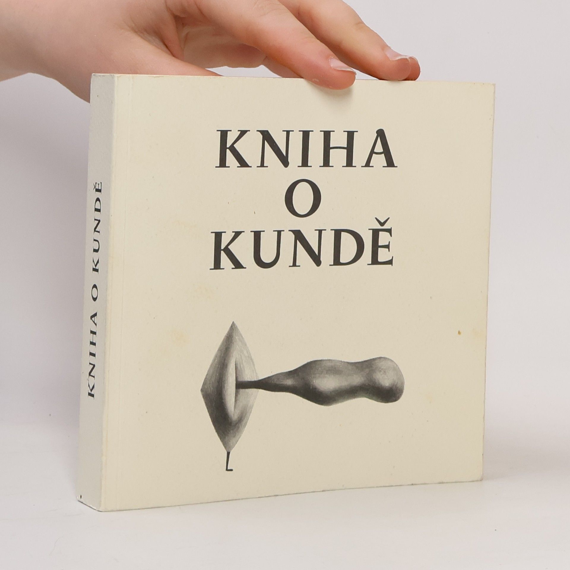 Nela D. Aston Kniha o kundě