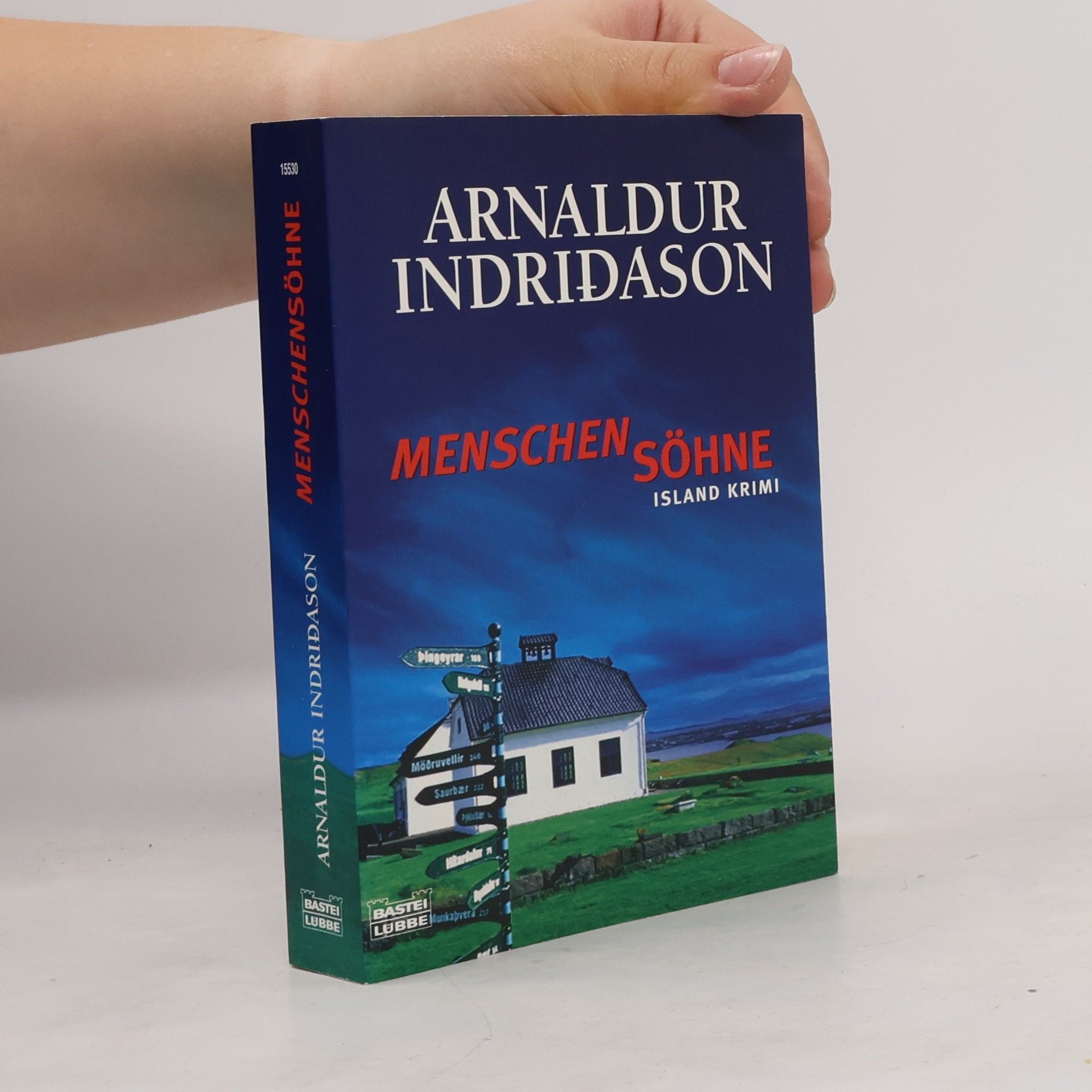 Arnaldur Indriðason Menschensöhne