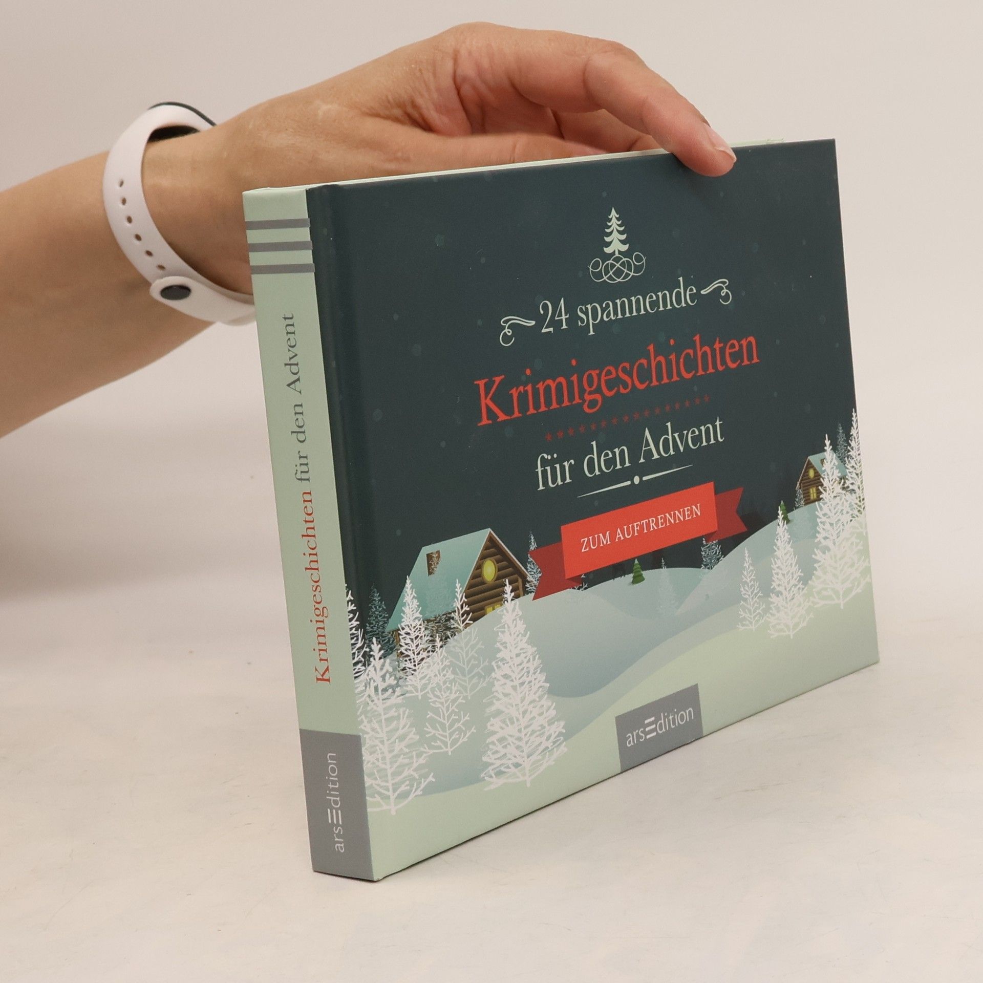 Autorenkollektiv 24 spannende Krimigeschichten für den Advent