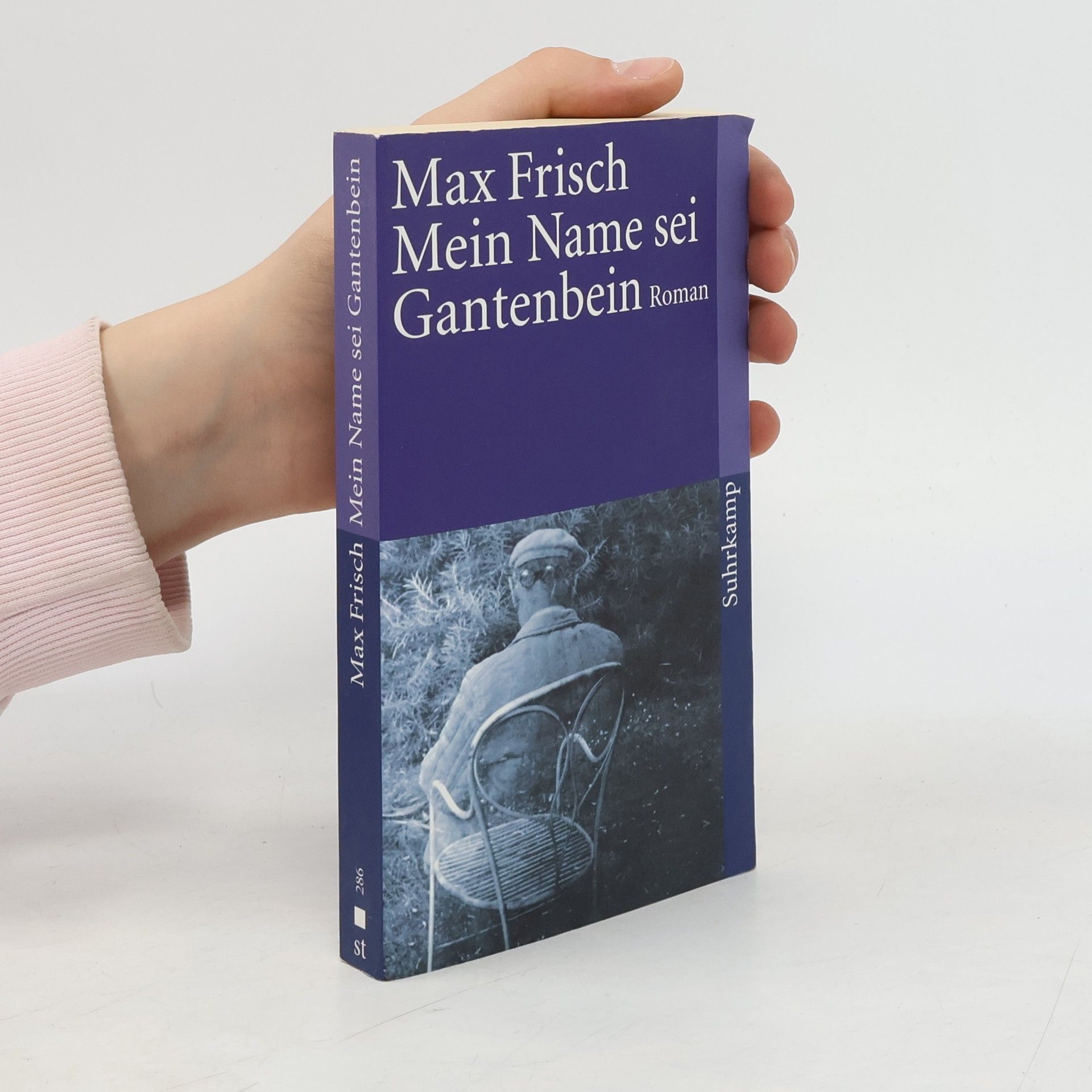 Max Frisch Mein Name sei Gantenbein