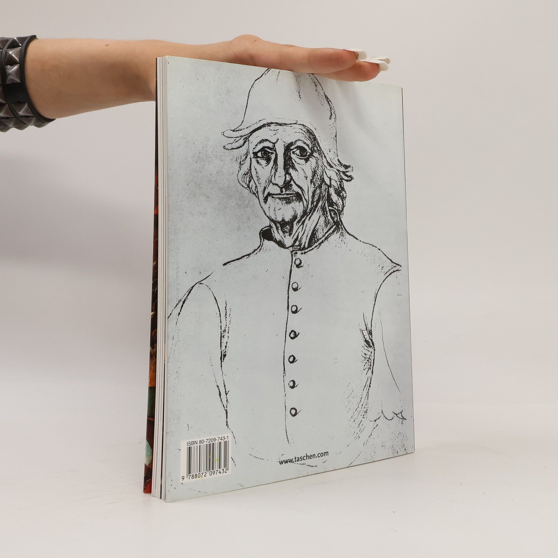 Walter Bosing Hieronymus Bosch: Kolem 1450-1516 : mezi nebem a peklem