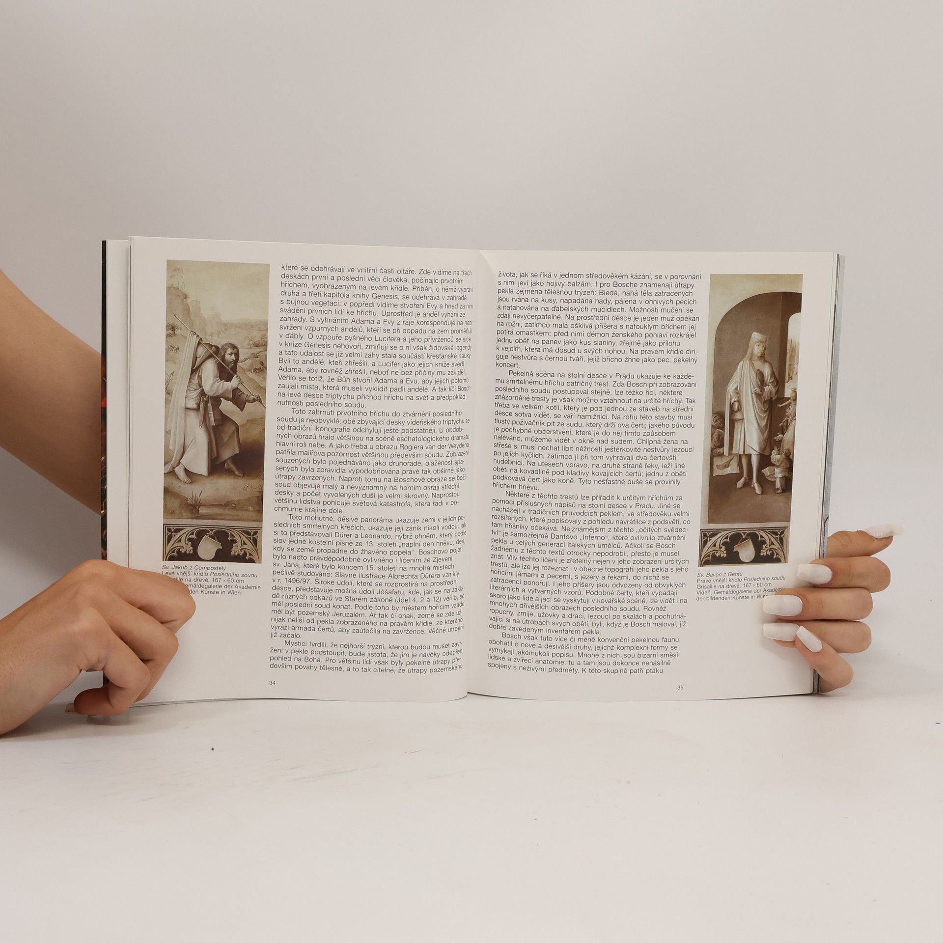 Walter Bosing Hieronymus Bosch: Kolem 1450-1516 : mezi nebem a peklem