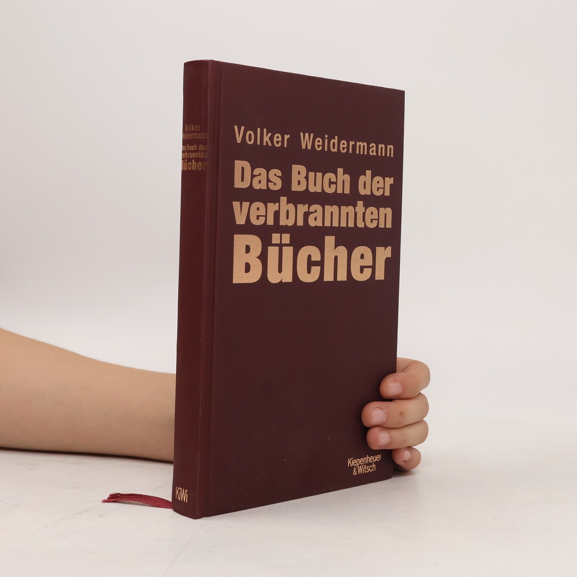 Volker Weidermann Das Buch der verbrannten Bücher