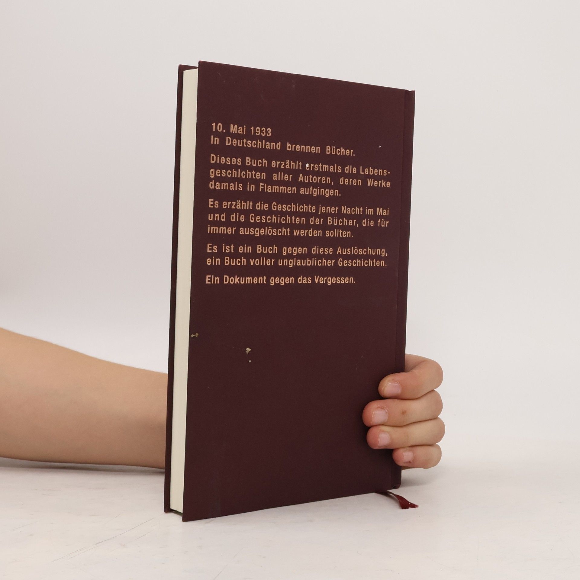 Volker Weidermann Das Buch der verbrannten Bücher