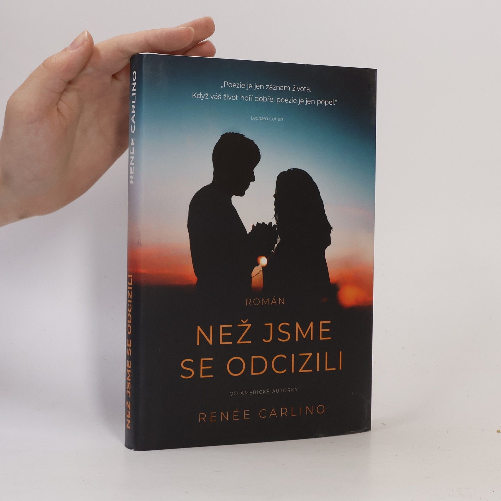 Renée Carlino Než jsme se odcizili