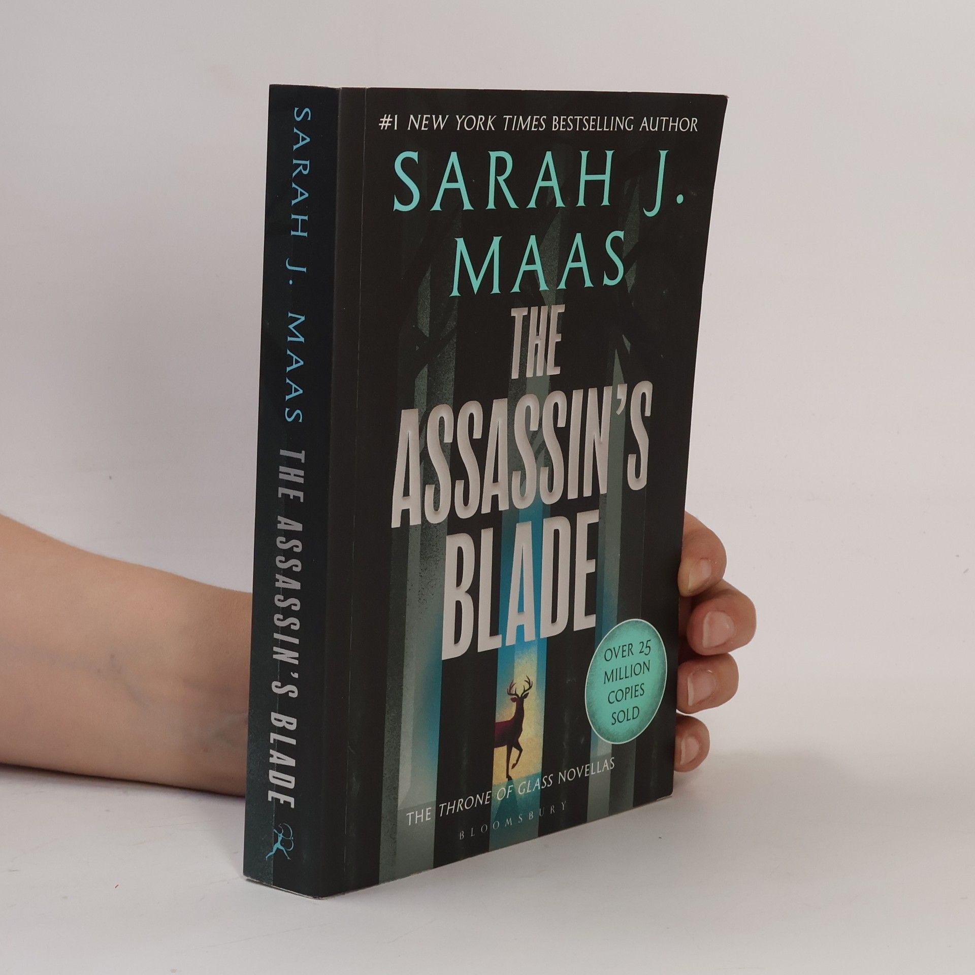 Sarah J. Maas The Assassin's Blade