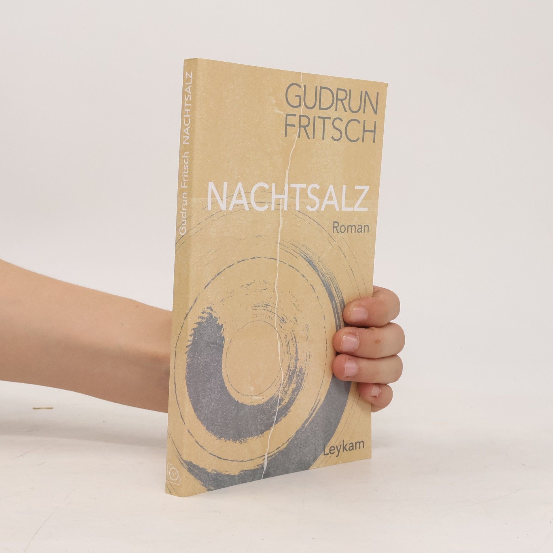 Gudrun Fritsch Nachtsalz