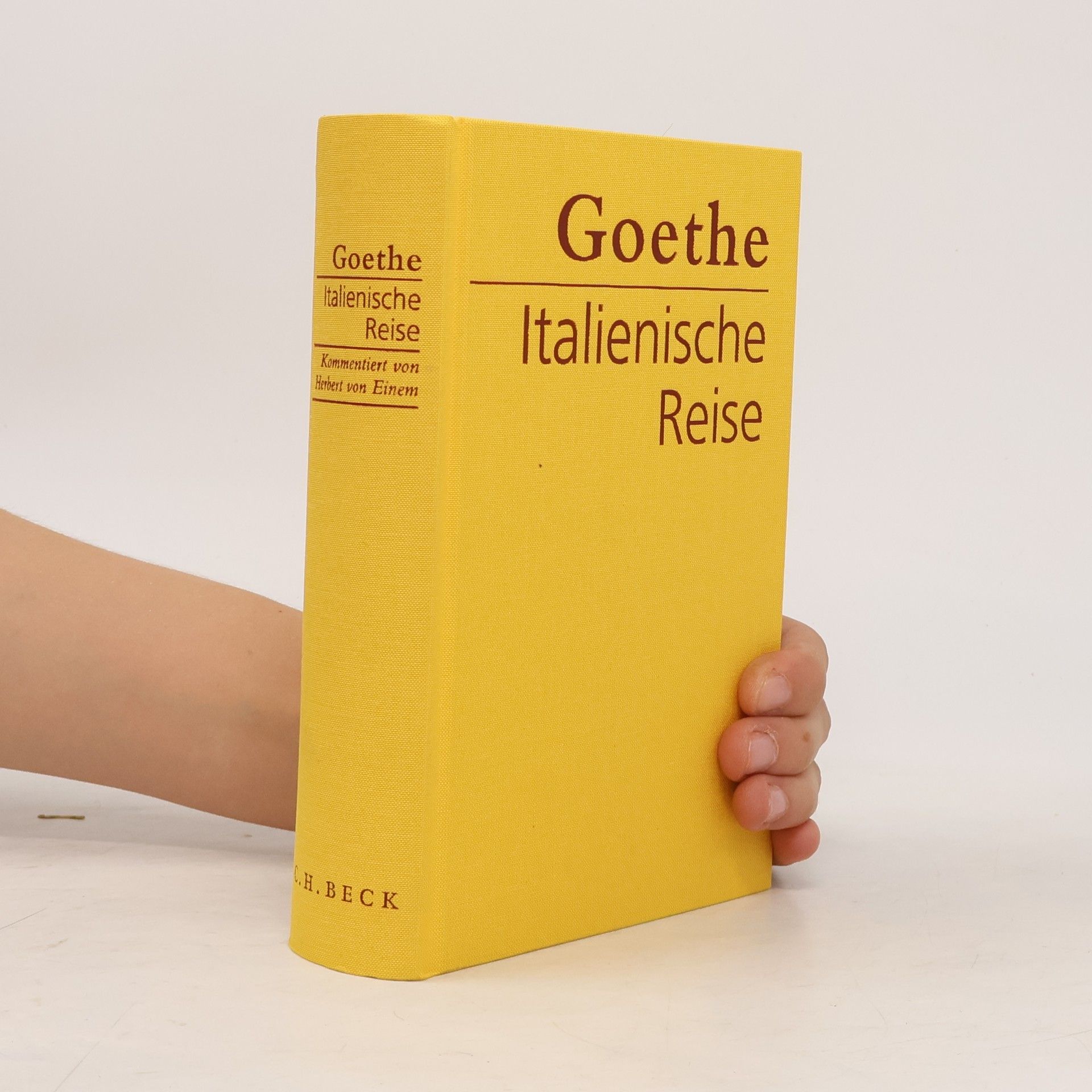 Johann Wolfgang von Goethe Italienische Reise