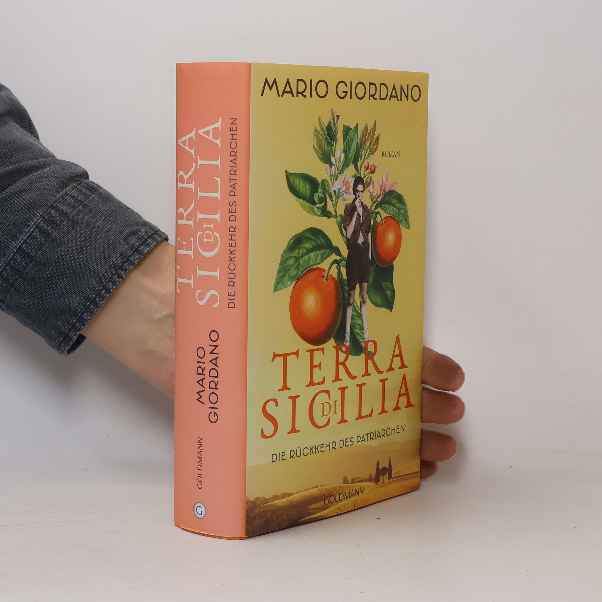 Mario Giordano Terra di Sicilia - die Rückkehr des Patriarchen