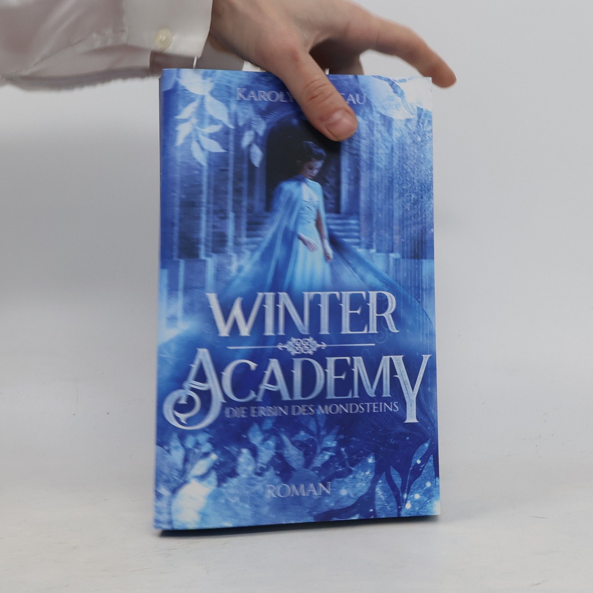 Karolyn Ciseau Winter Academy. Die Erbin des Mondsteins