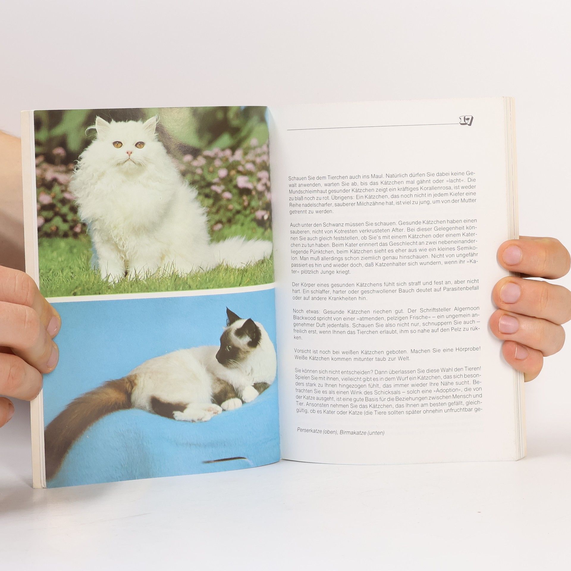 Brigitte EilertOverbeck Das neue Katzenbuch