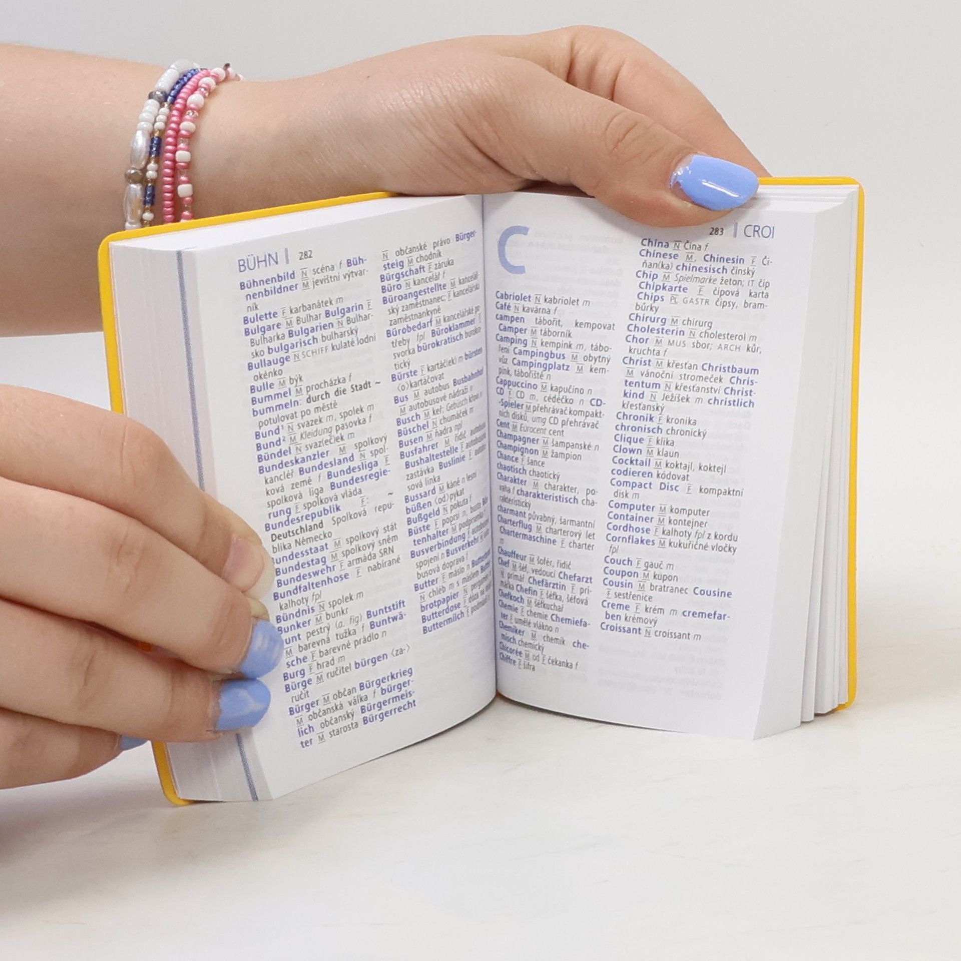 Autorenkollektiv Langenscheidt Universal-Wörterbuch Tschechisch