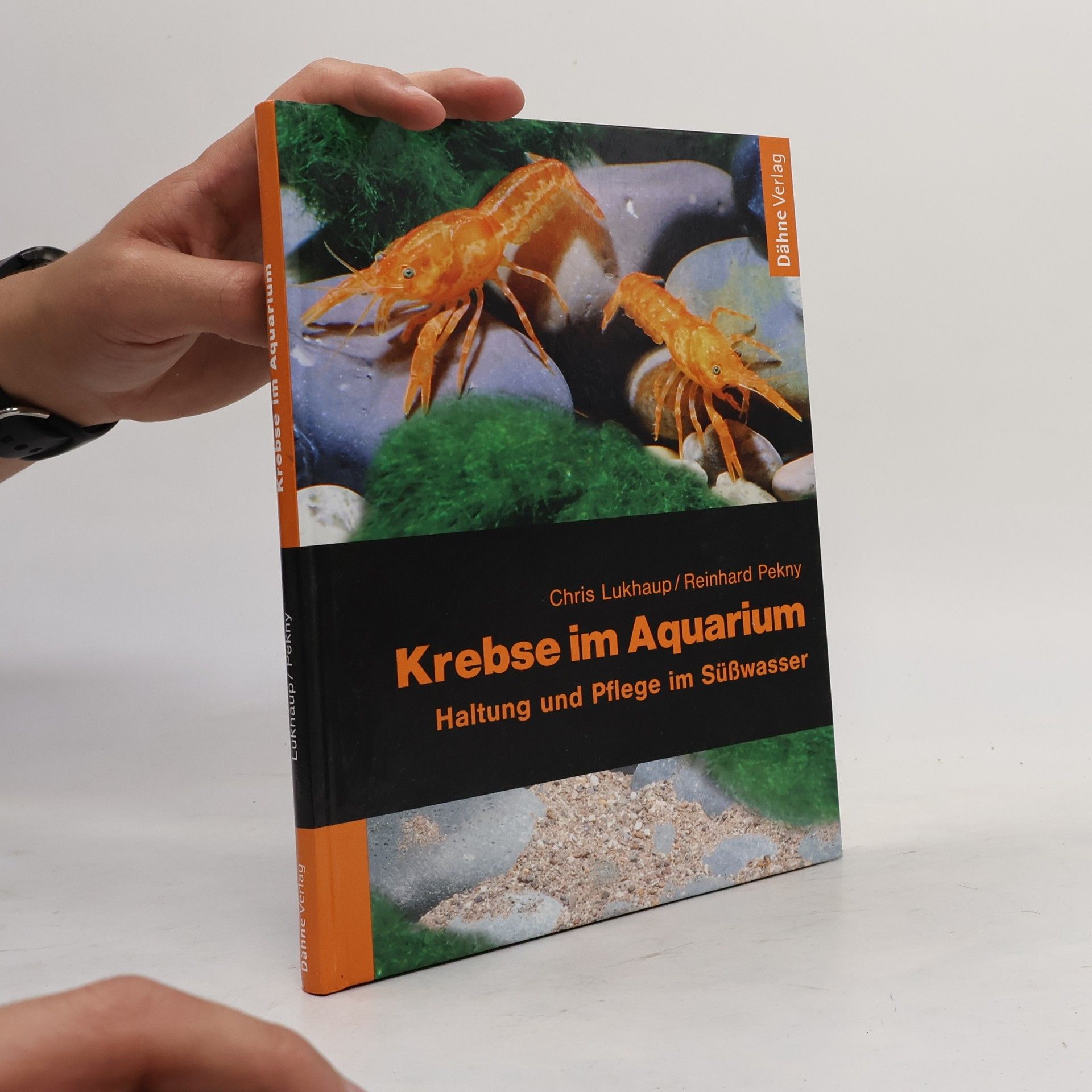 Krebse im Aquarium