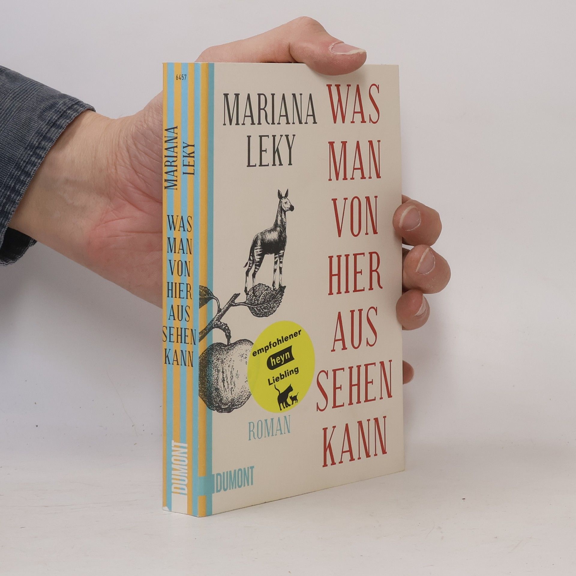 Mariana Leky Was man von hier aus sehen kann