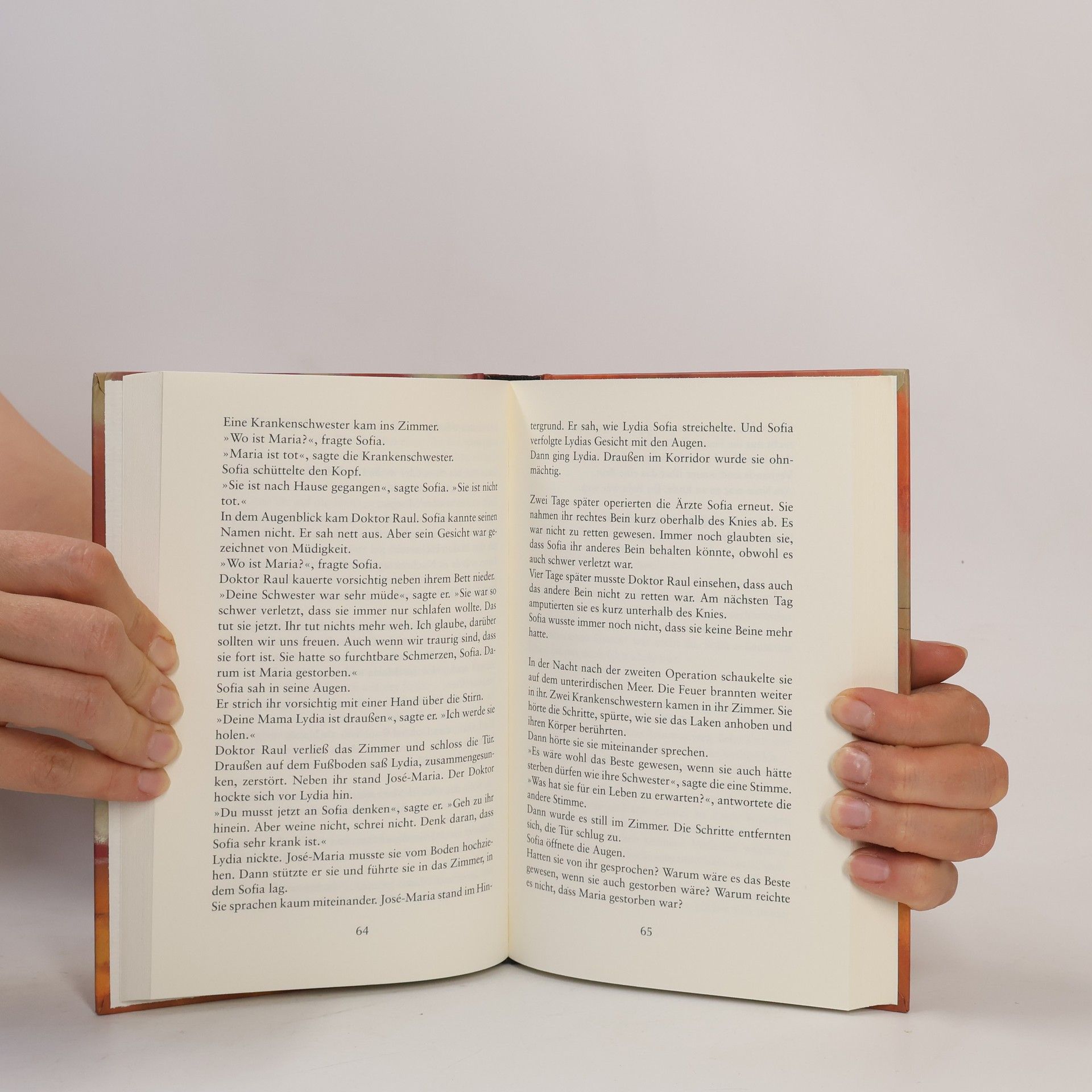 Henning Mankell Das Geheimnis des Feuers