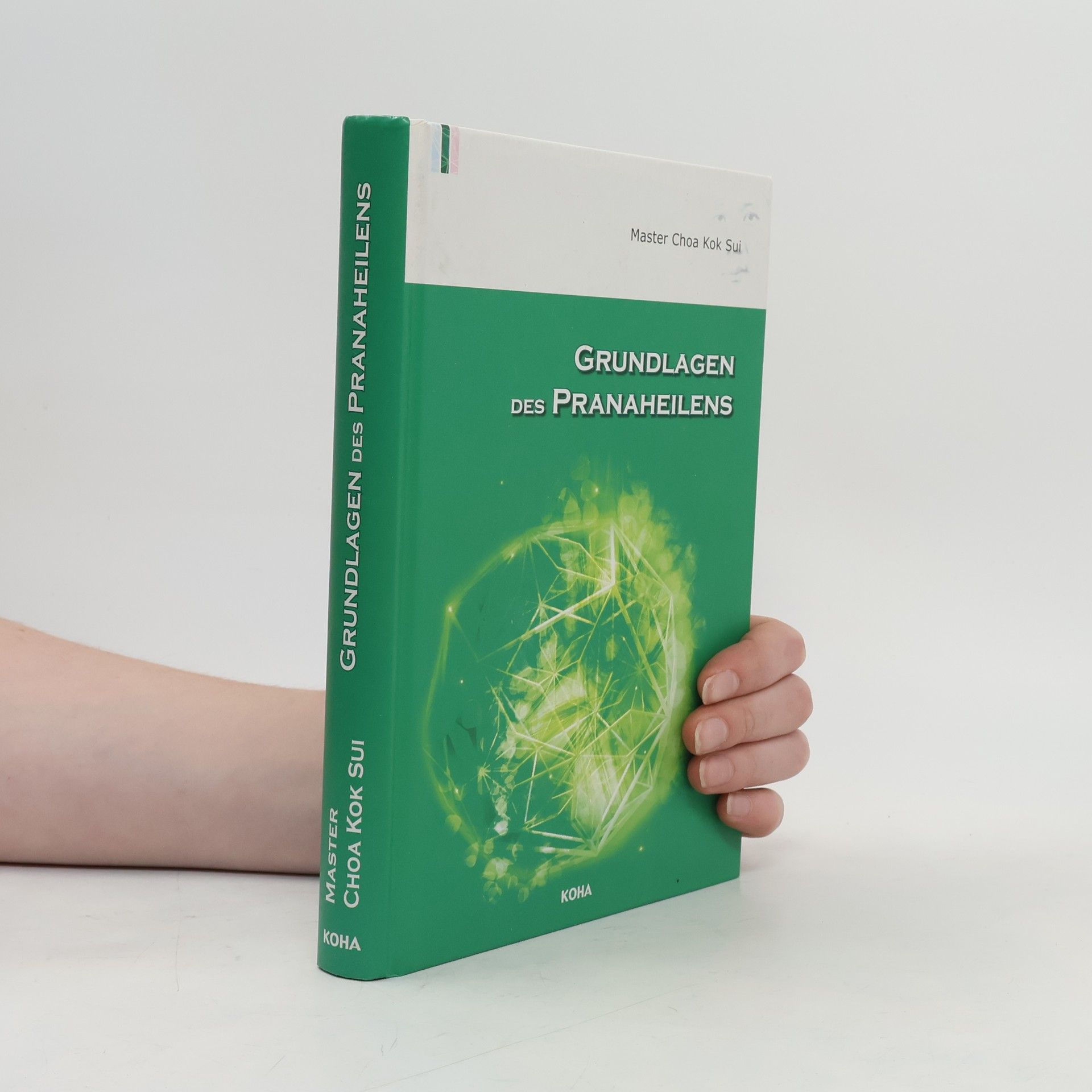 Choa Kok Sui Grundlagen des Pranaheilens