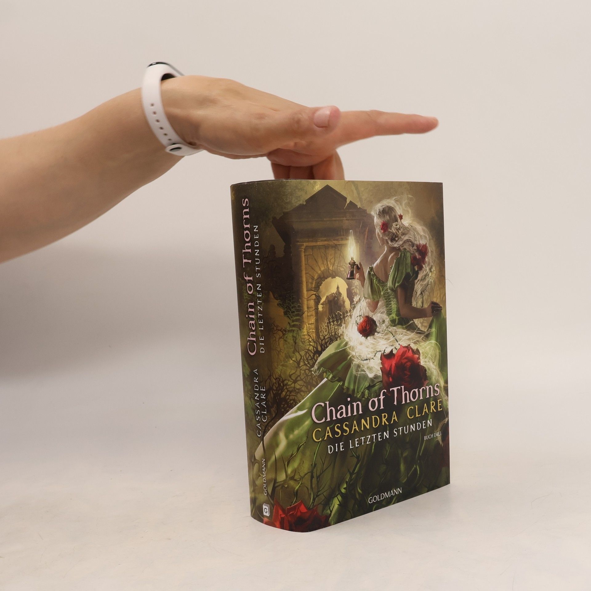 Cassandra Clare Die Letzten Stunden 3. Chain of Thorns