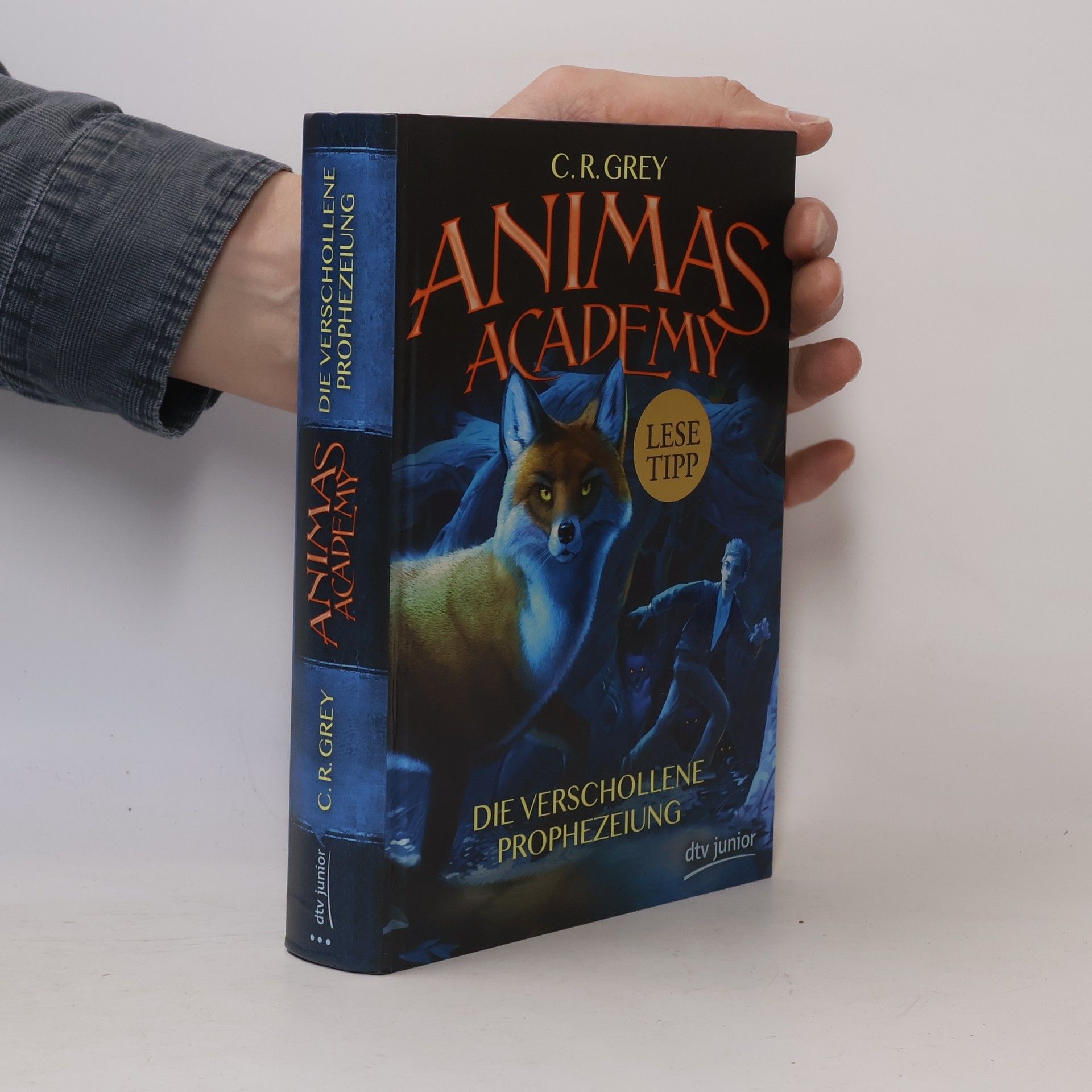 C. R. Grey Animas Academy - die verschollene Prophezeiung