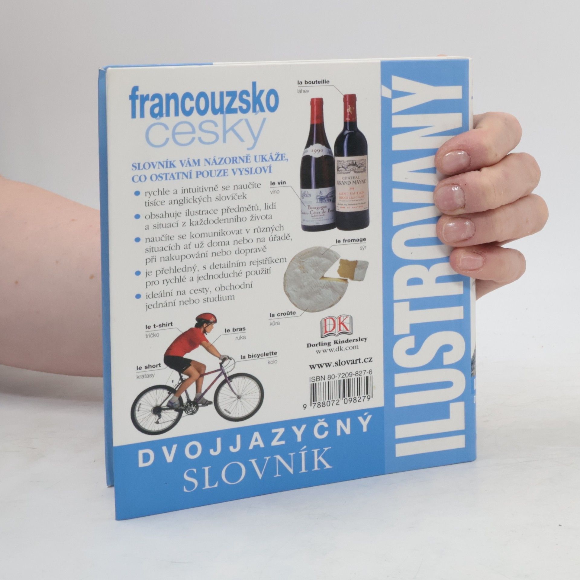 Collectif d'auteurs Francouzsko-český ilustrovaný slovník