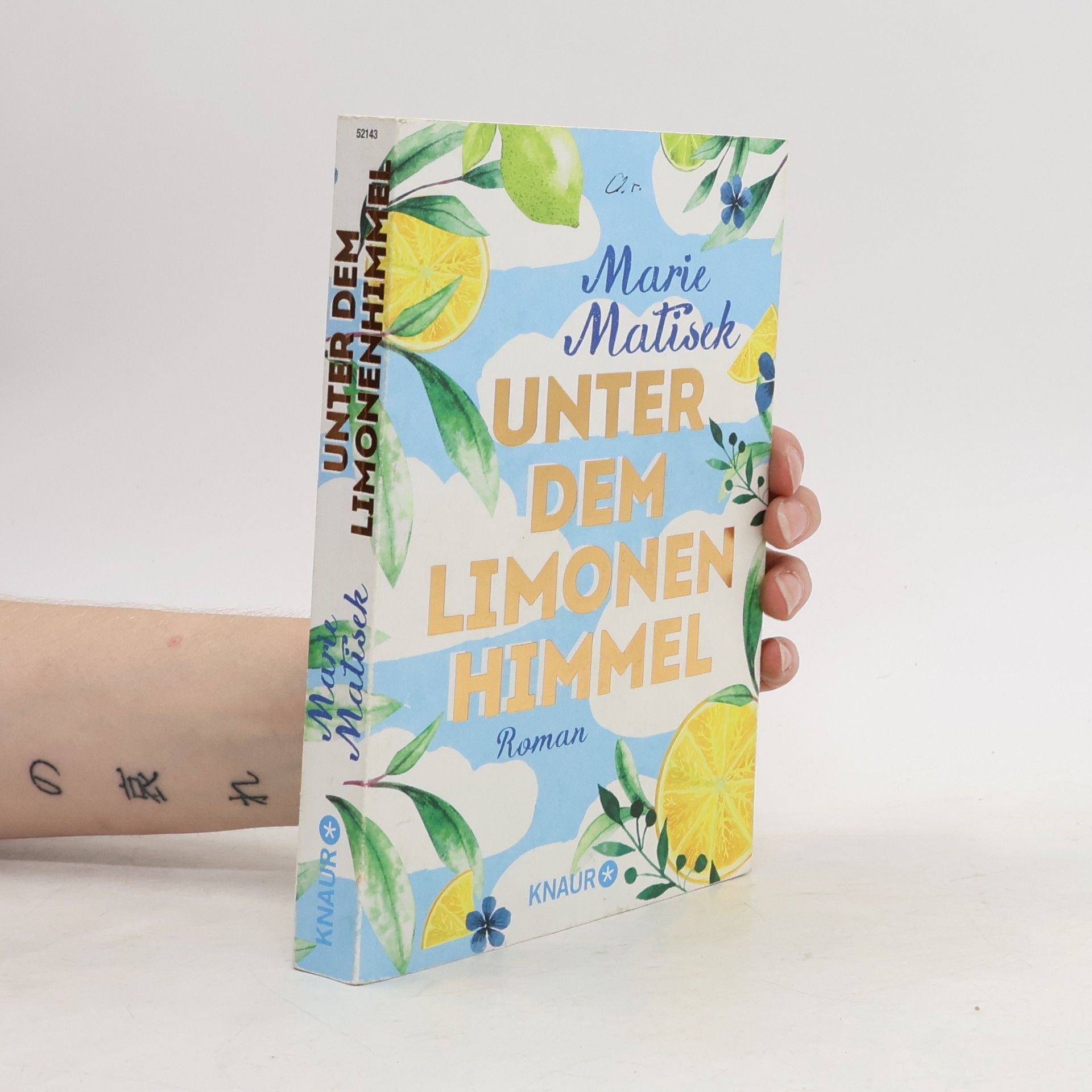 Marie Matisek Unter dem Limonenhimmel