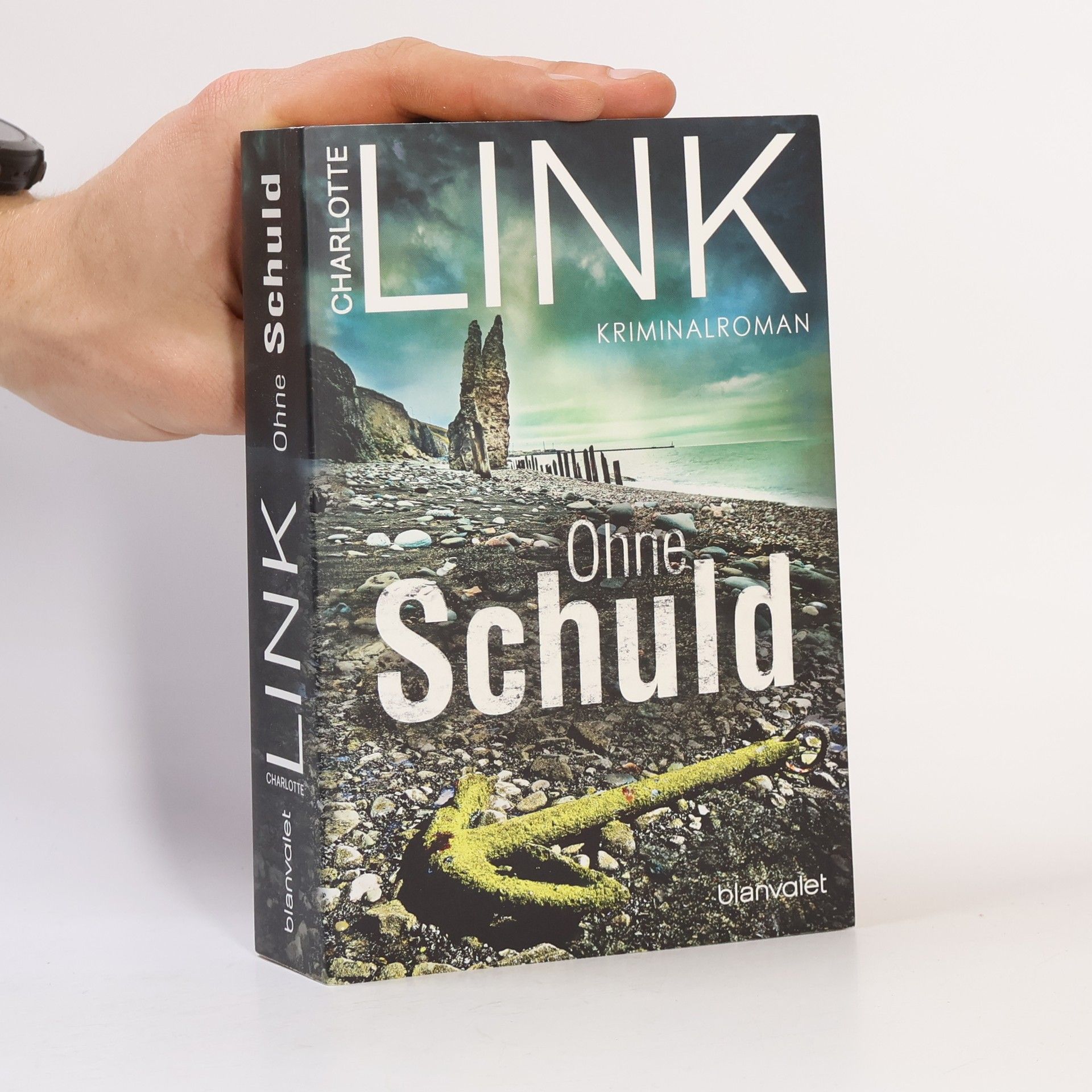 Charlotte Link Ohne Schuld