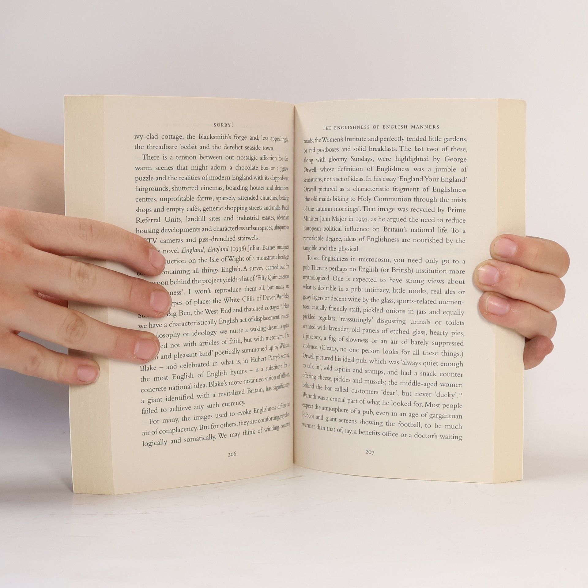 Henry Hitchings Sorry!: the English and their manners
