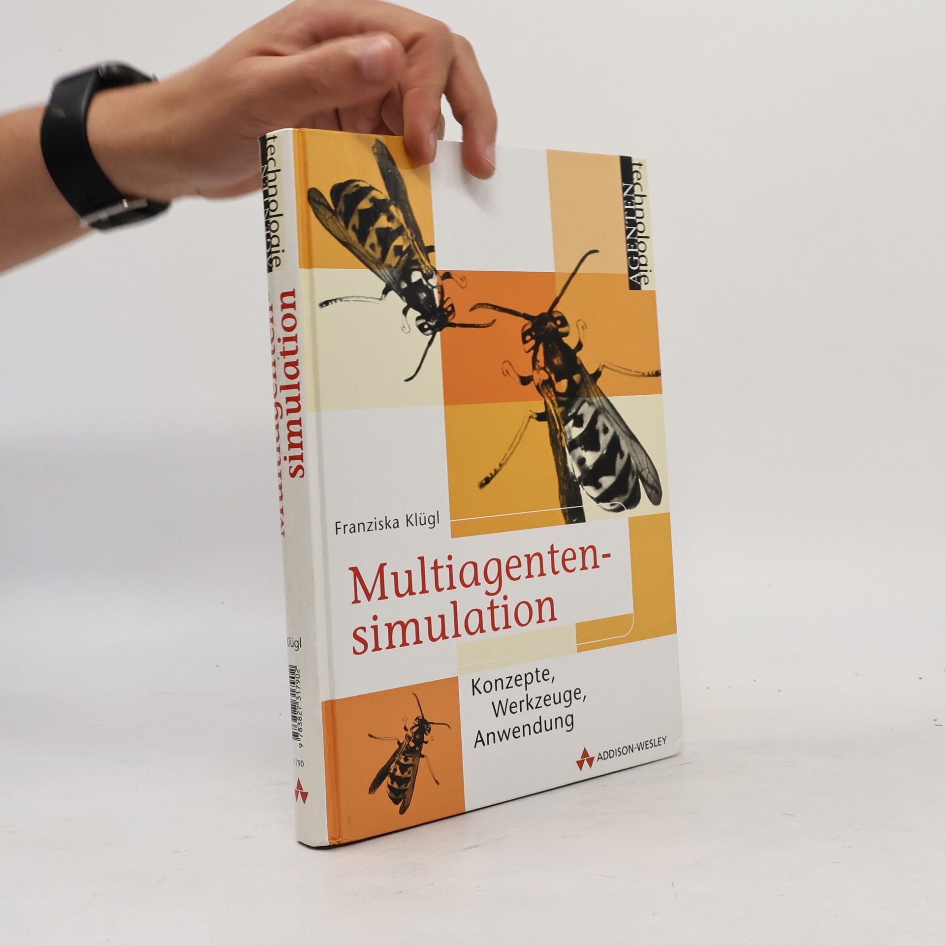 Franziska Klügl Multiagentensimulation