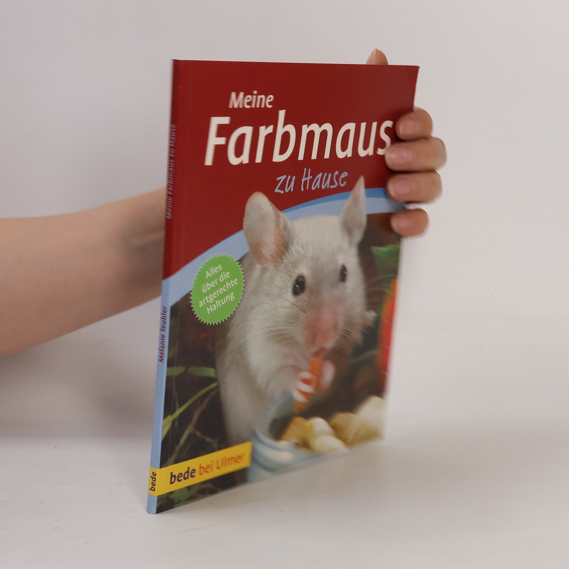 Melanie Teubler Meine Farbmaus zu Hause