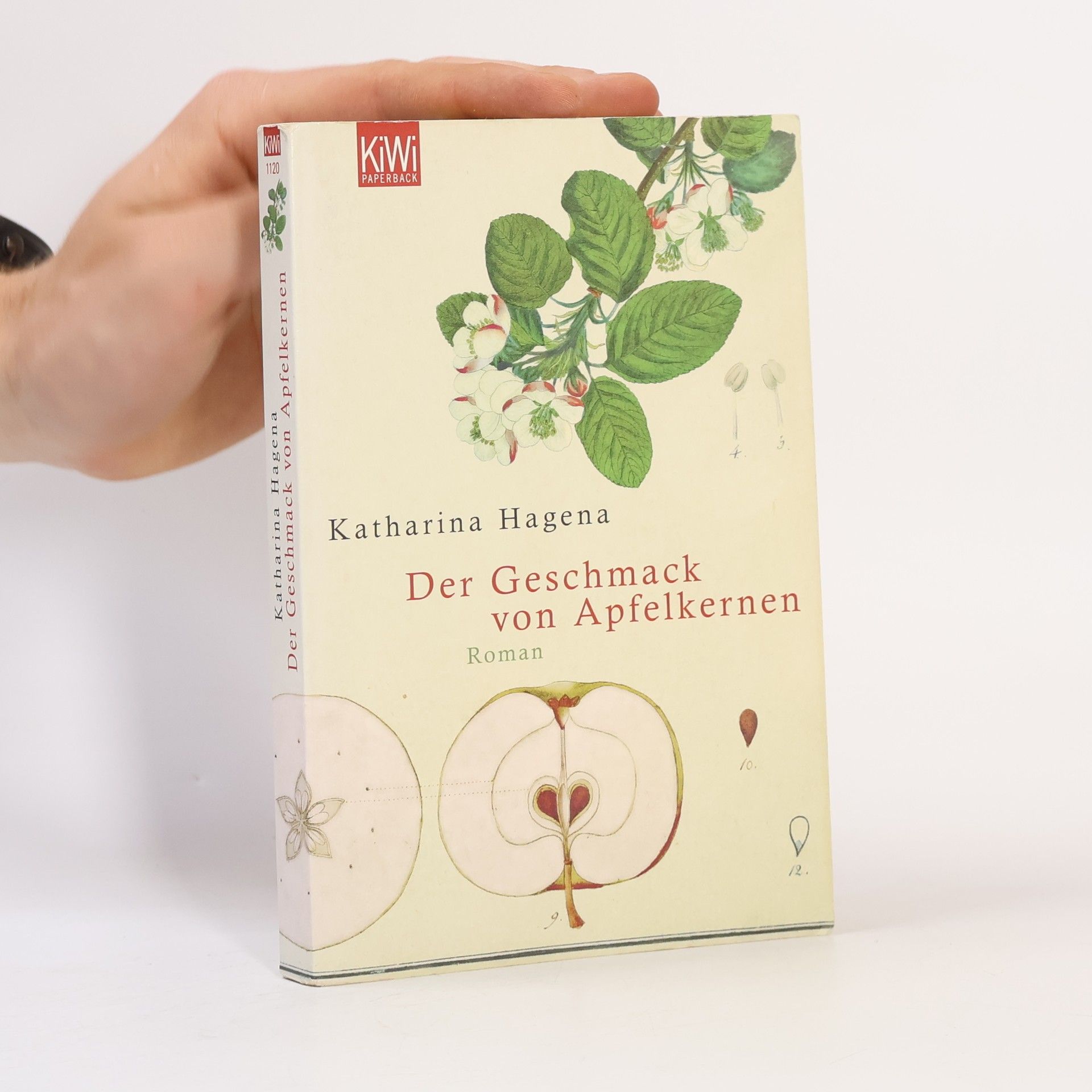 Katharina Hagena Der Geschmack von Apfelkernen
