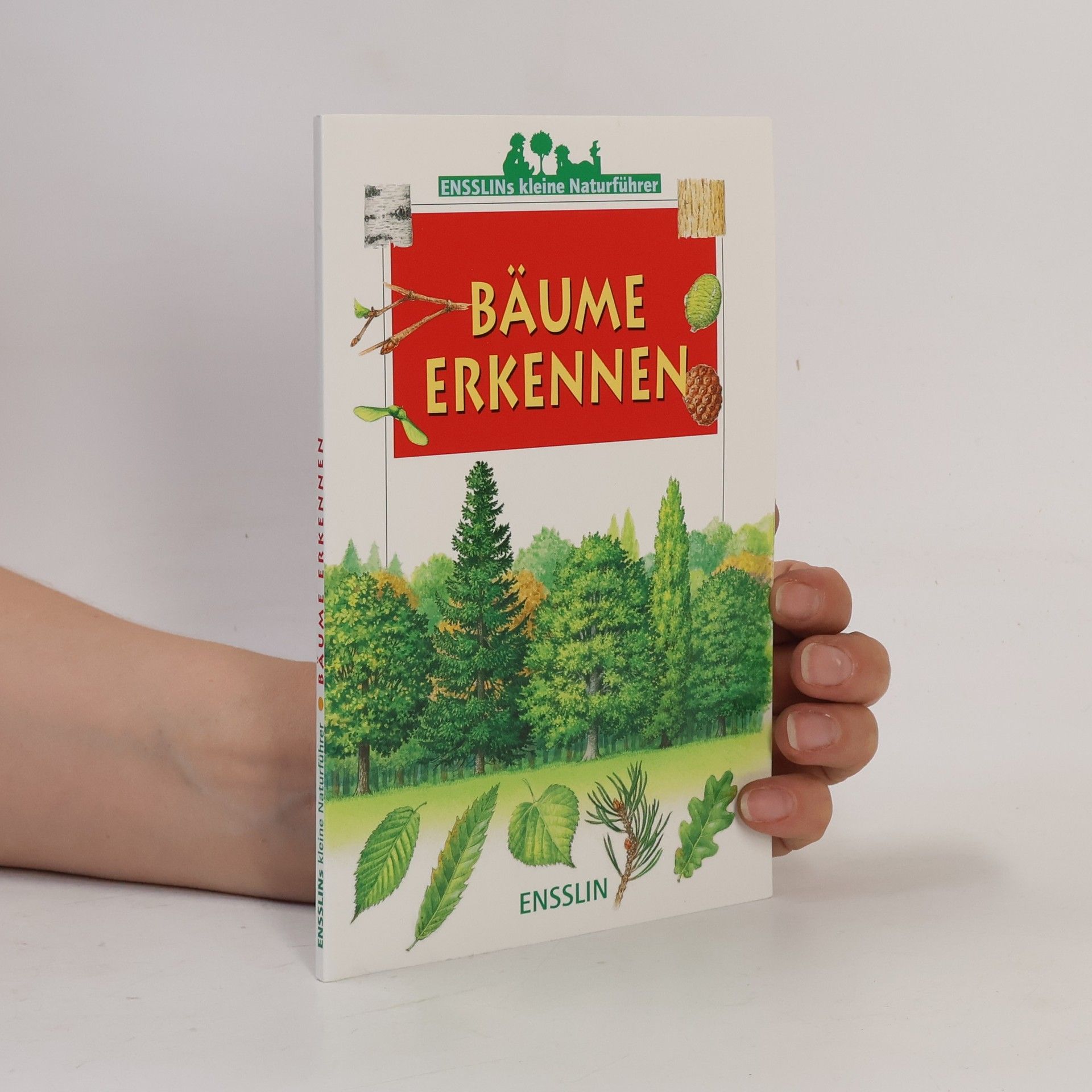 Bäume erkennen