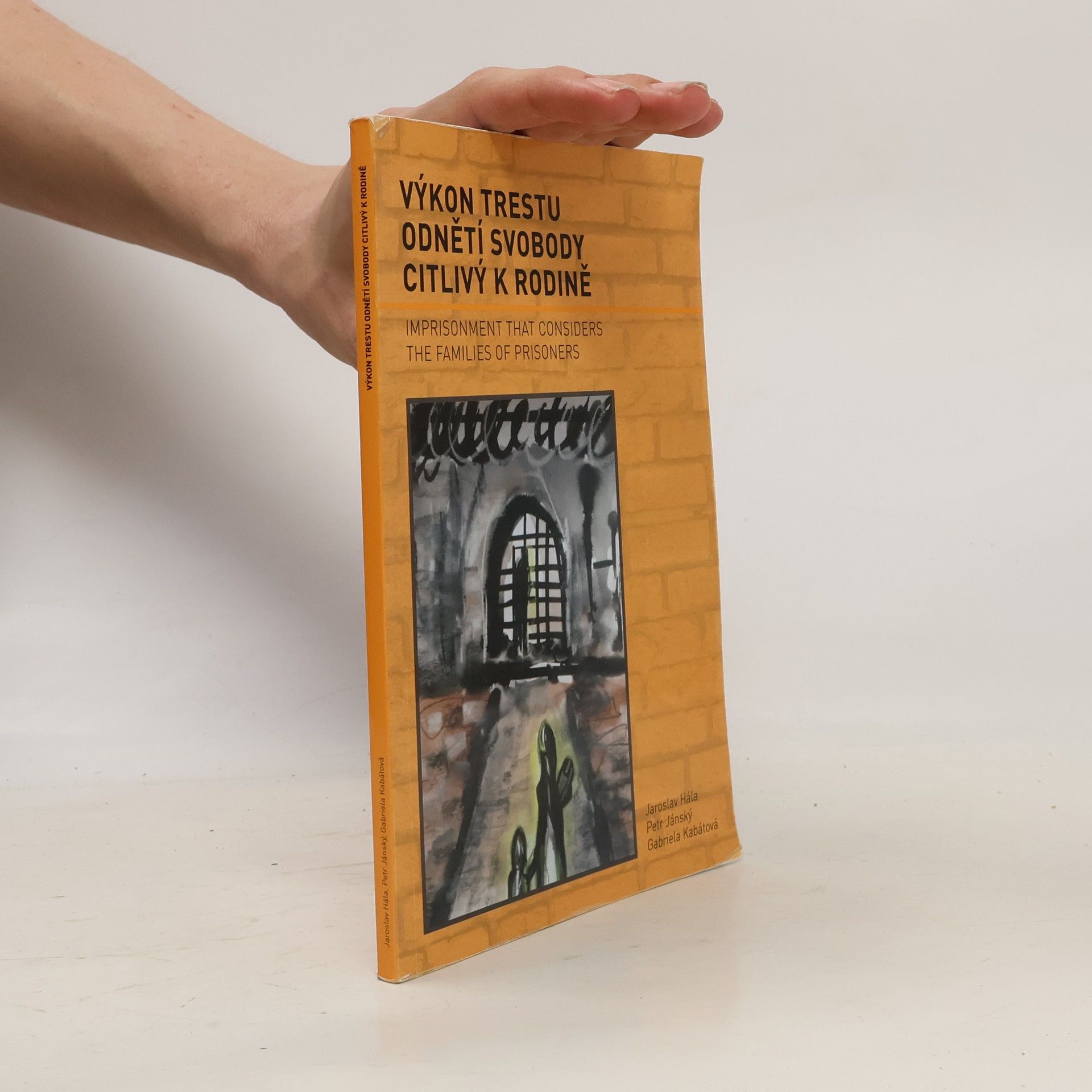 Gabriela Kabátová Výkon trestu odnětí svobody citlivý k rodině. Imprisonment that considers the families of prisoners