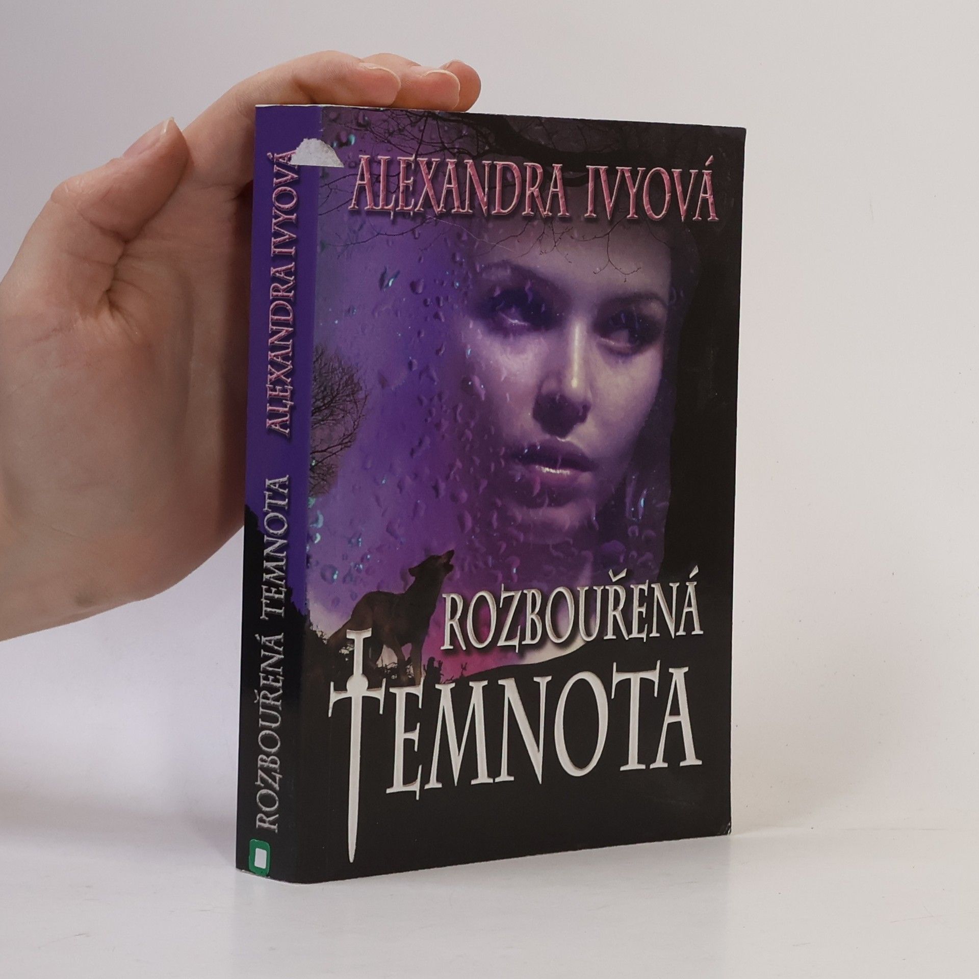 Debbie Raleigh Rozbouřená temnota