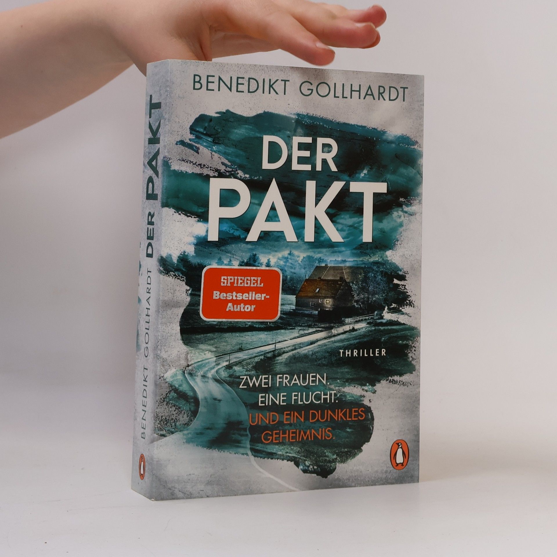 Benedikt Gollhardt Der Pakt – Zwei Frauen. Eine Flucht. Und ein dunkles Geheimnis.