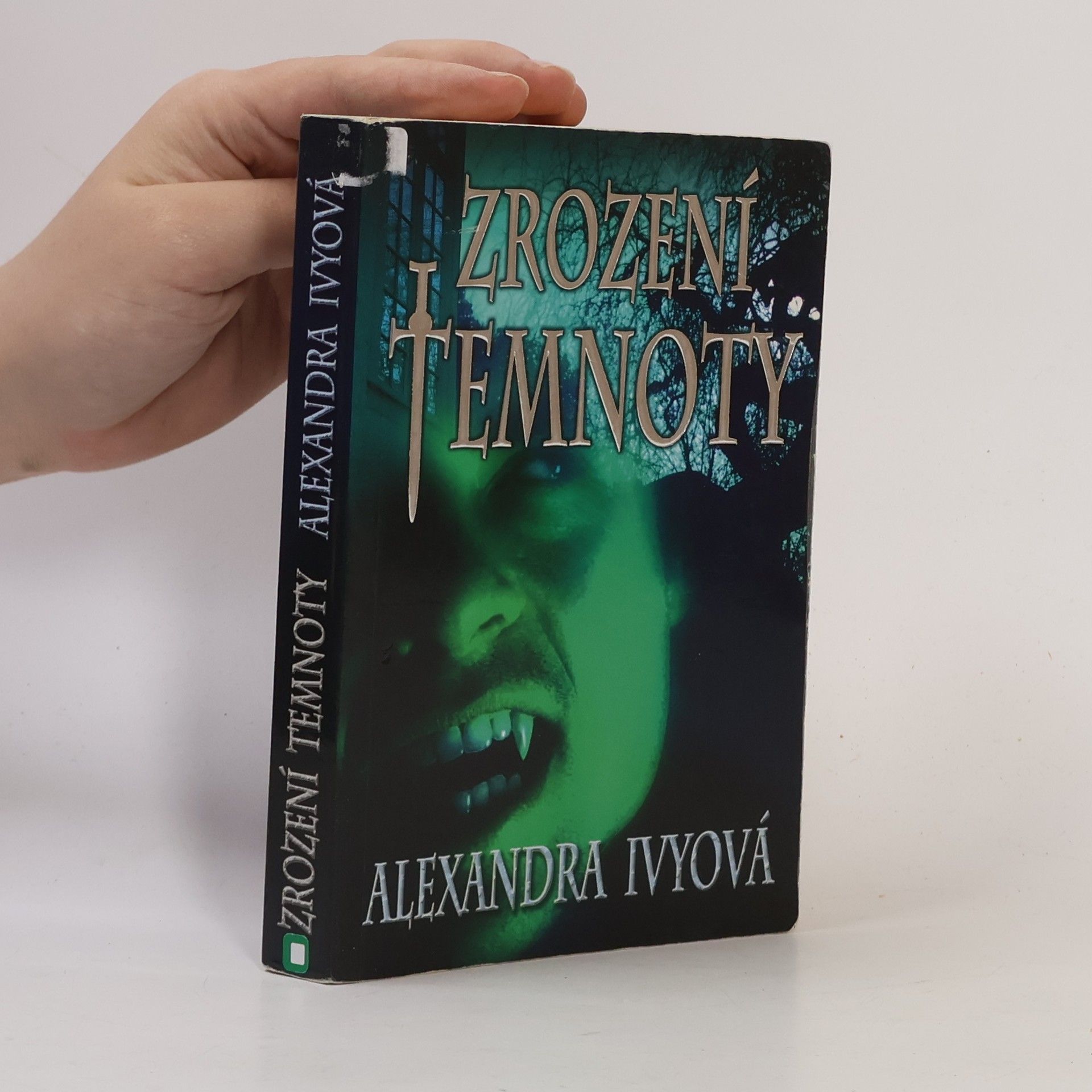 Debbie Raleigh Zrození temnoty