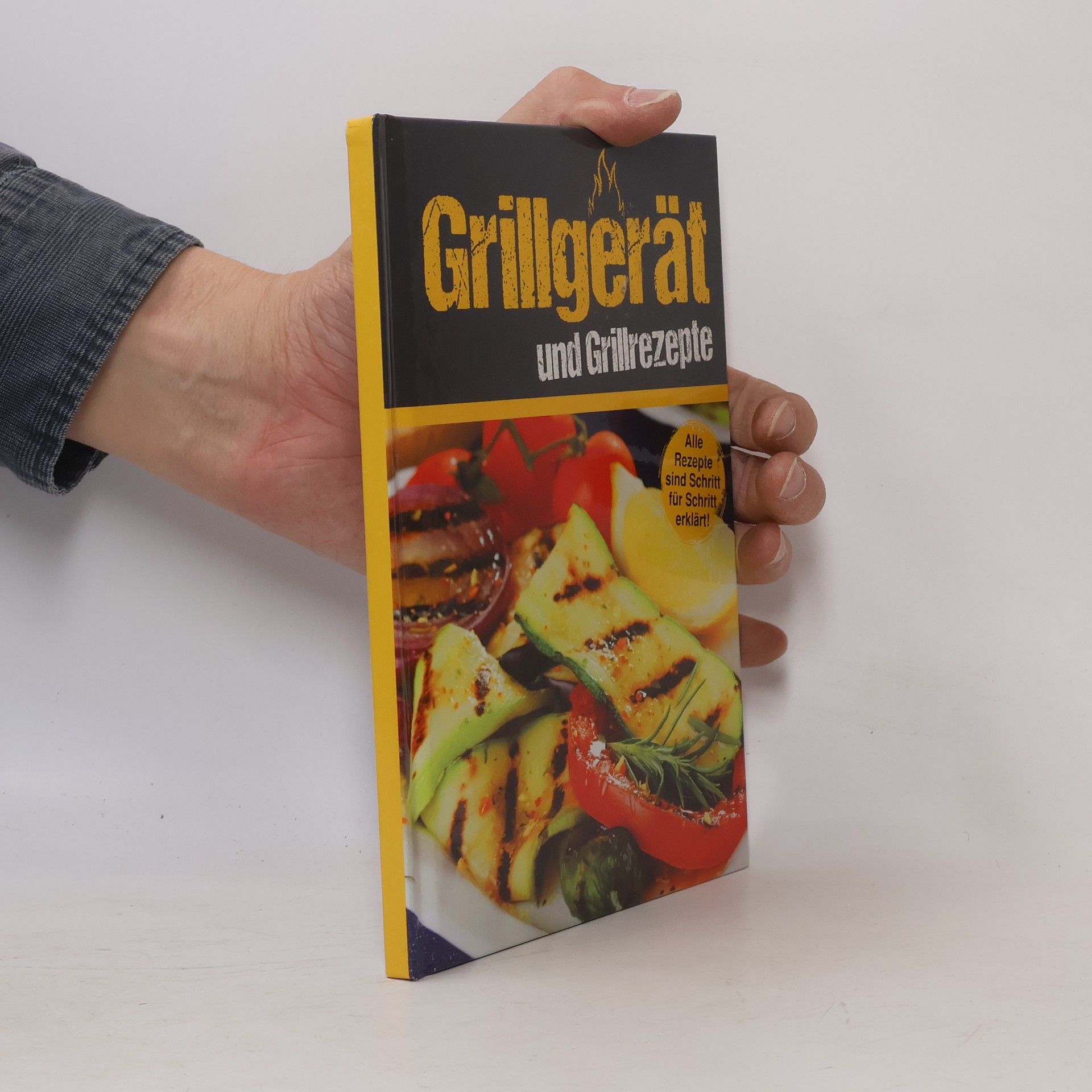 Kolektiv autorů Grillgerät und Grillrezepte