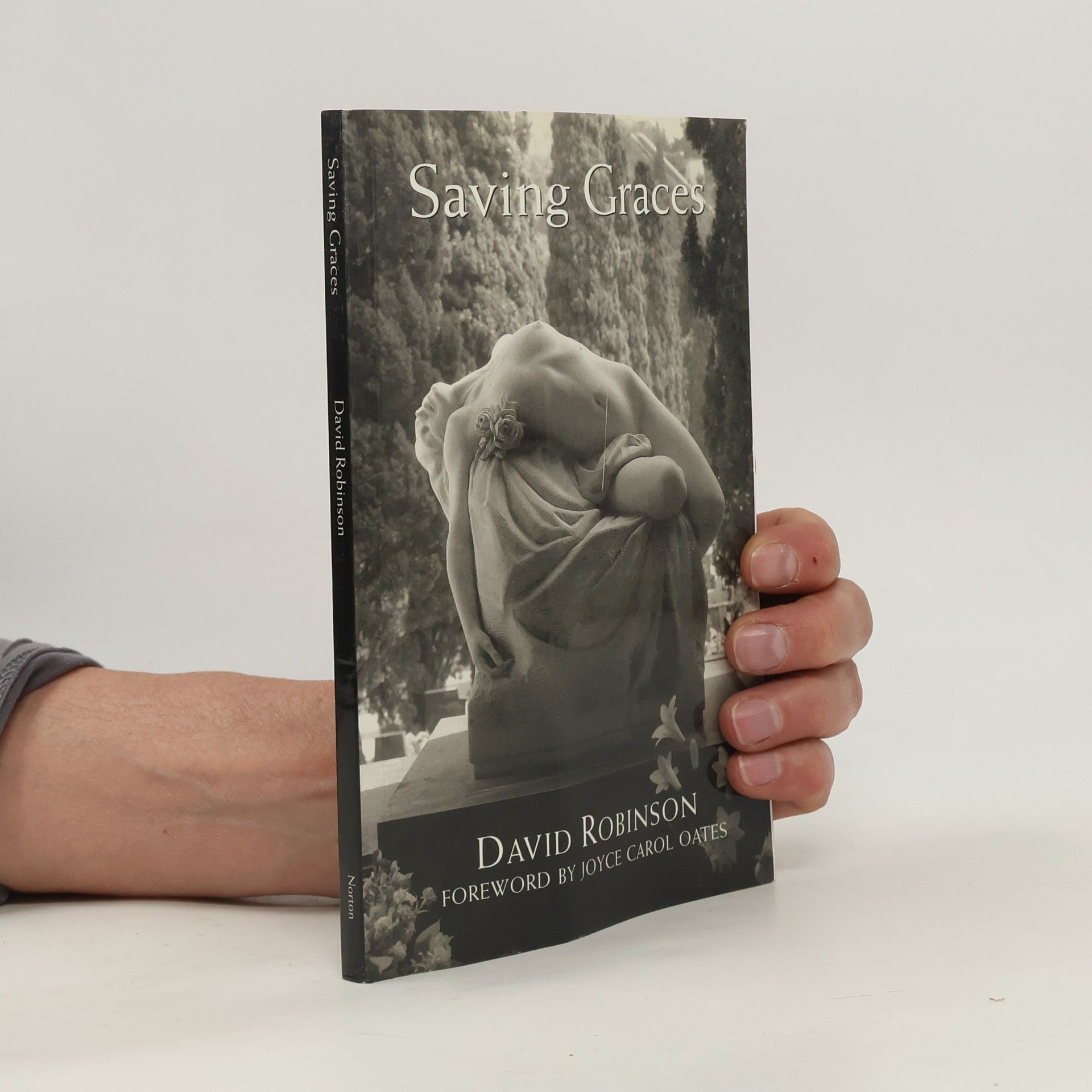 David Robinson Saving Graces