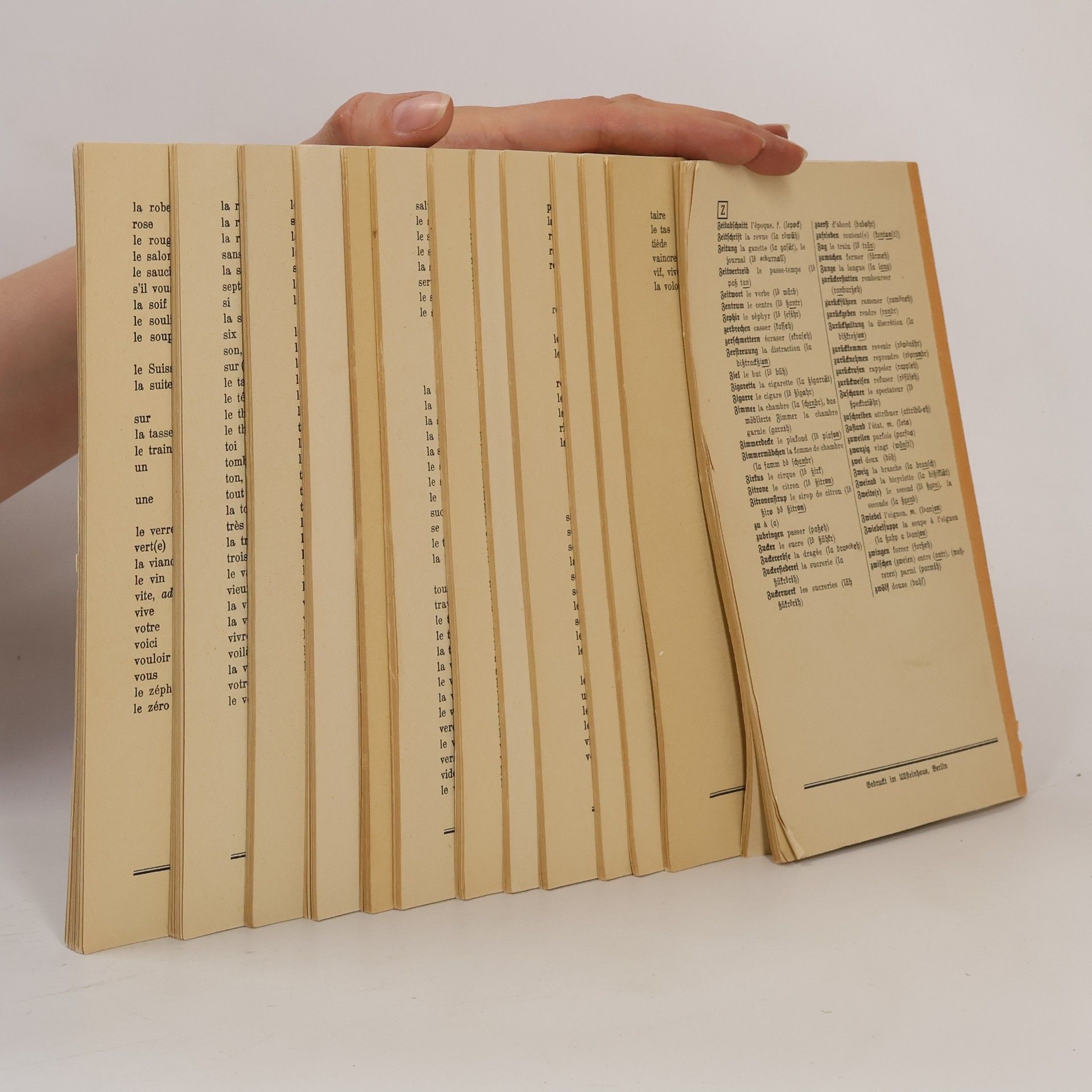 Collectif d'auteurs 1000 Worte Französisch
