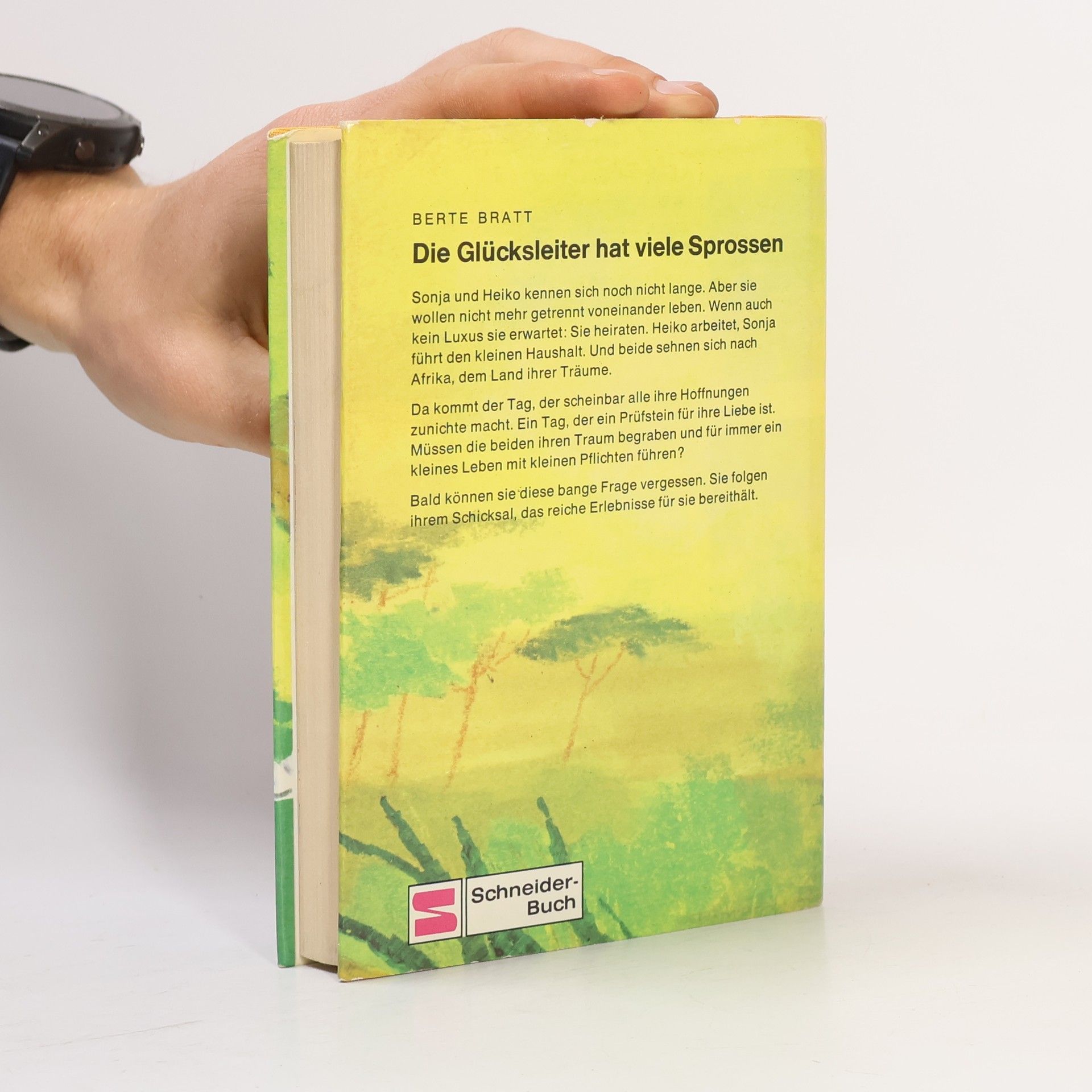 Berte Bratt Die Glücksleiter hat viele Sprossen