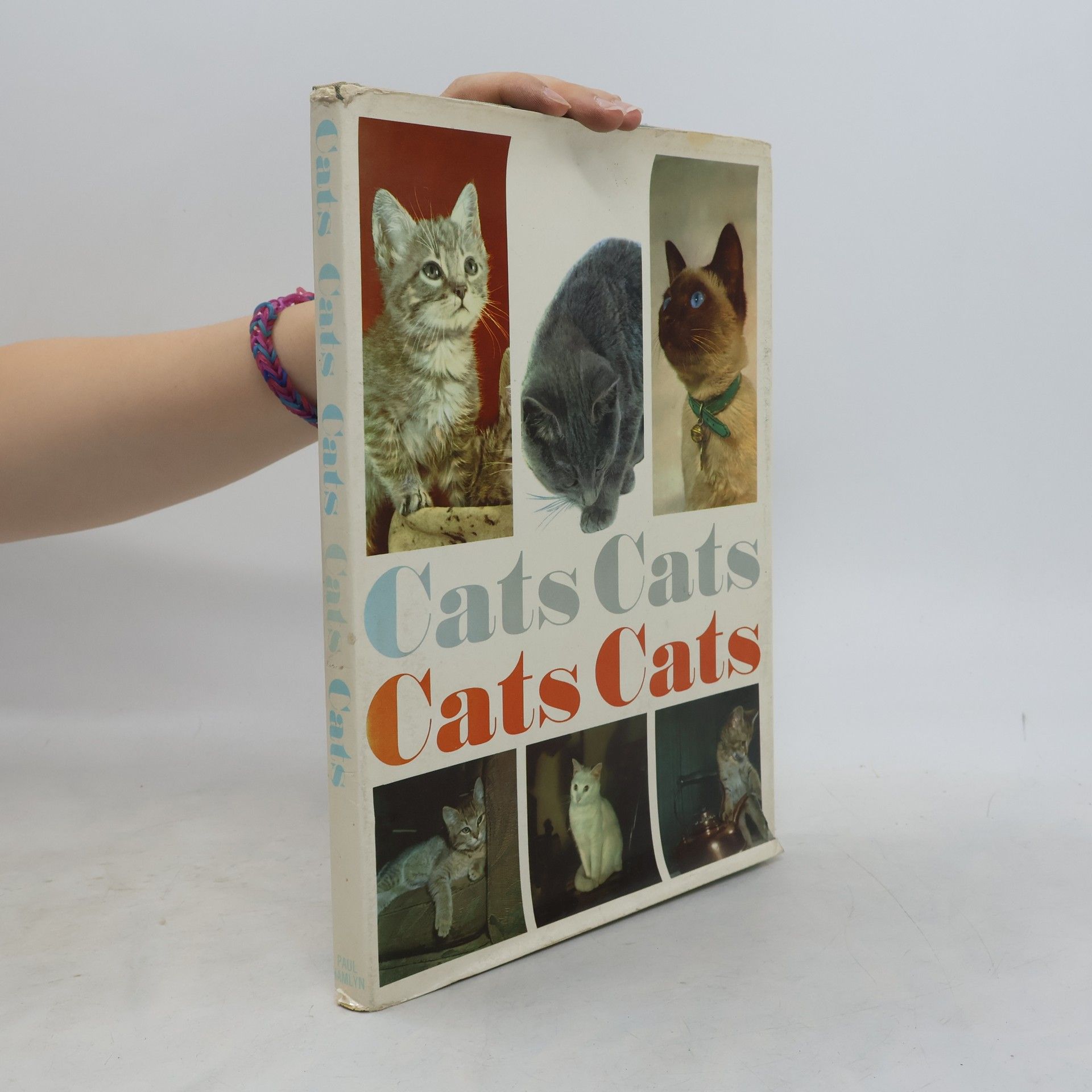 Collectif d'auteurs Cats Cats Cats Cats