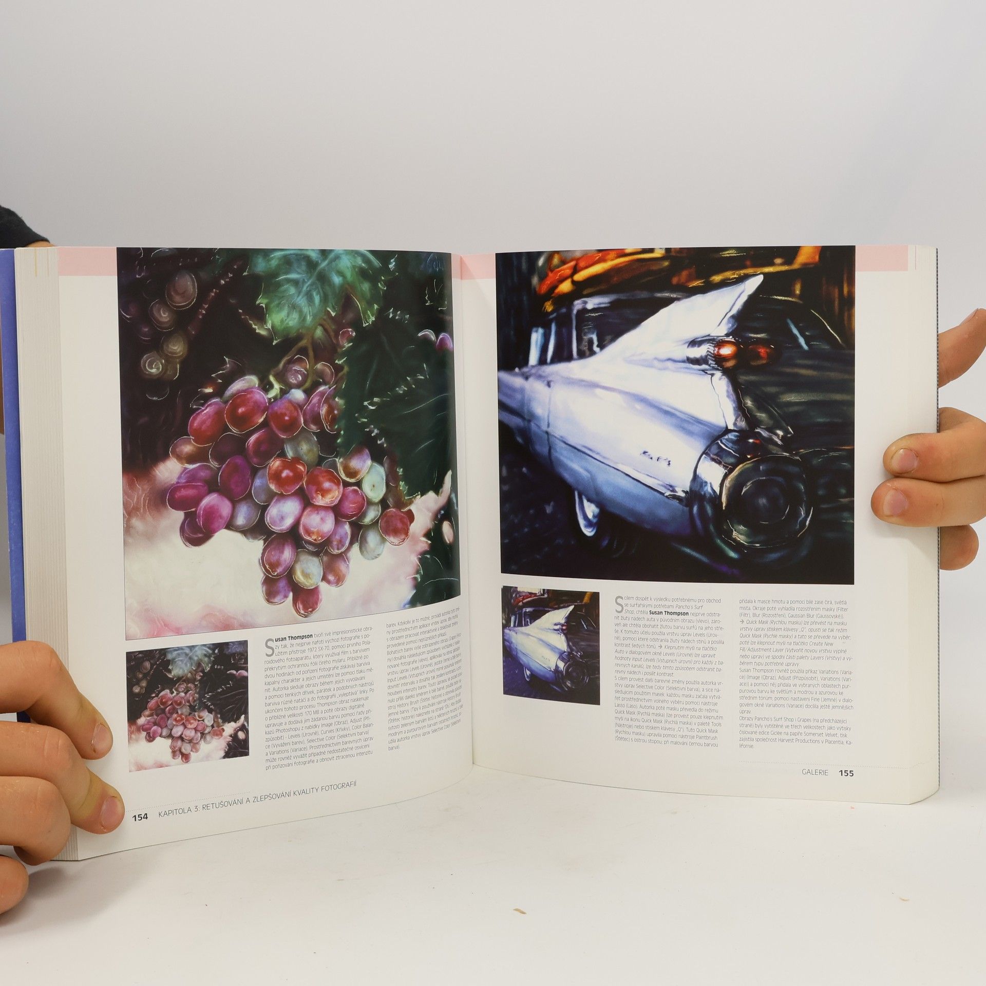 Linnea Dayton Photoshop Wow! Book
