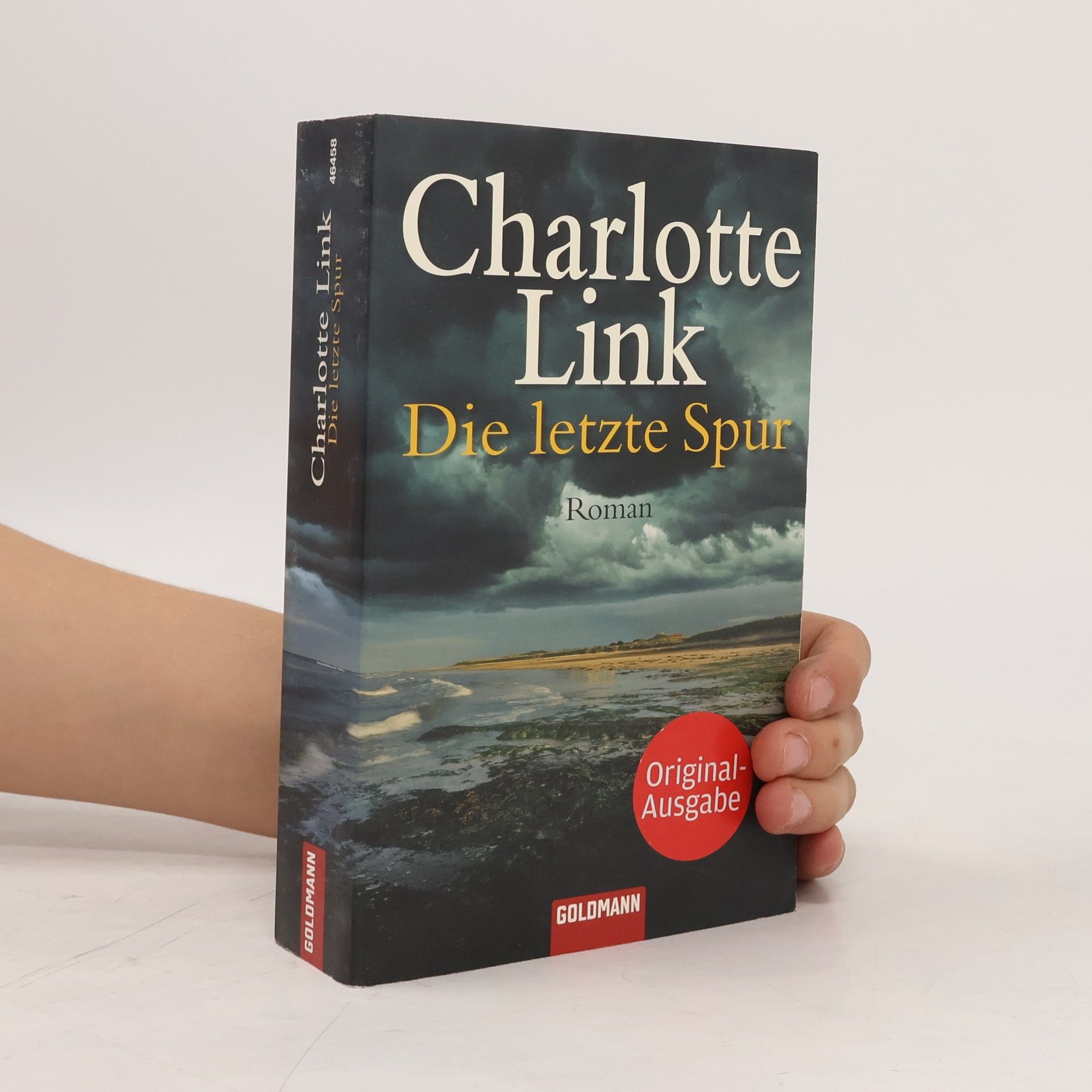 Charlotte Link Die letzte Spur