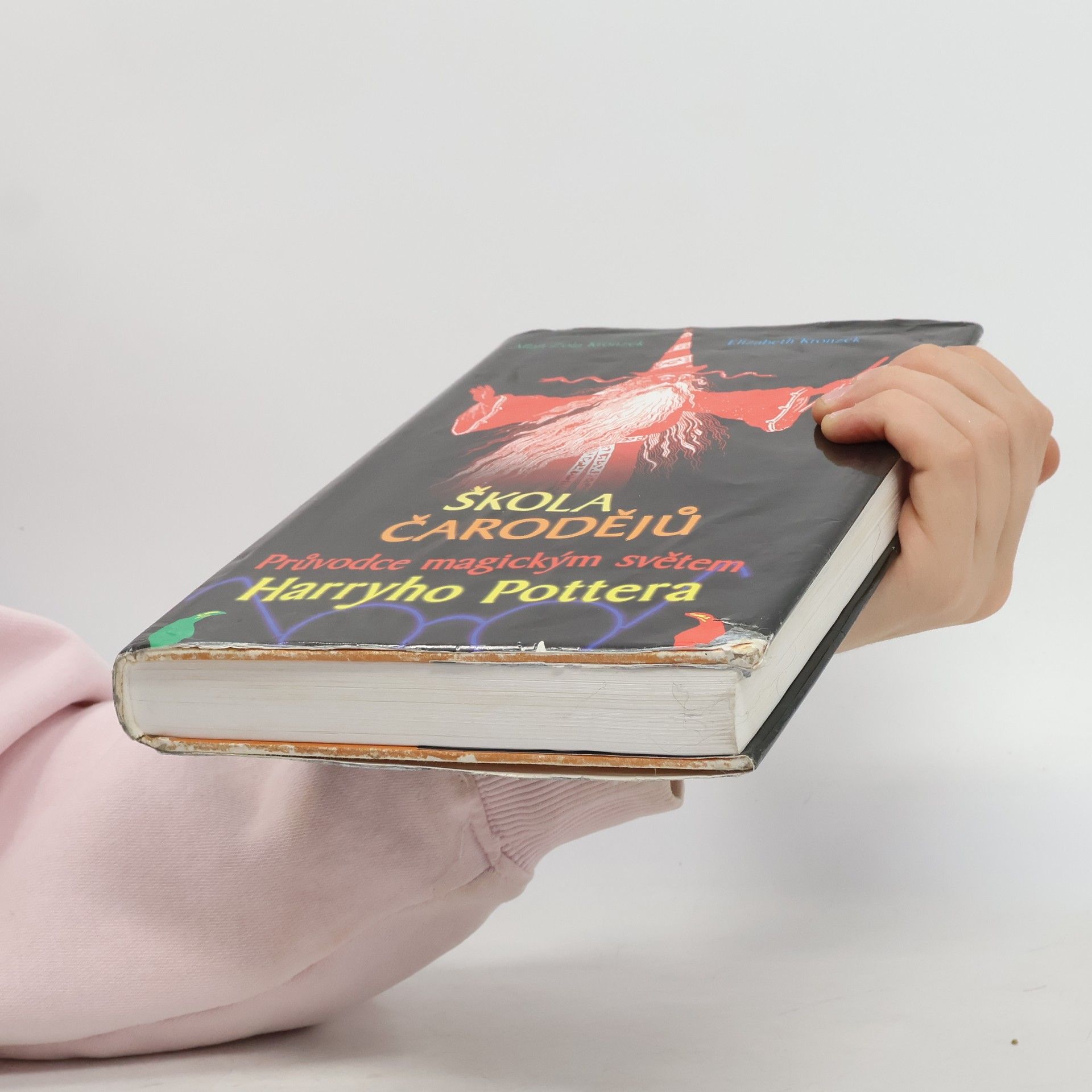Elizabeth Kronzek Škola čarodějů. Průvodce magickým světem Harryho Pottera