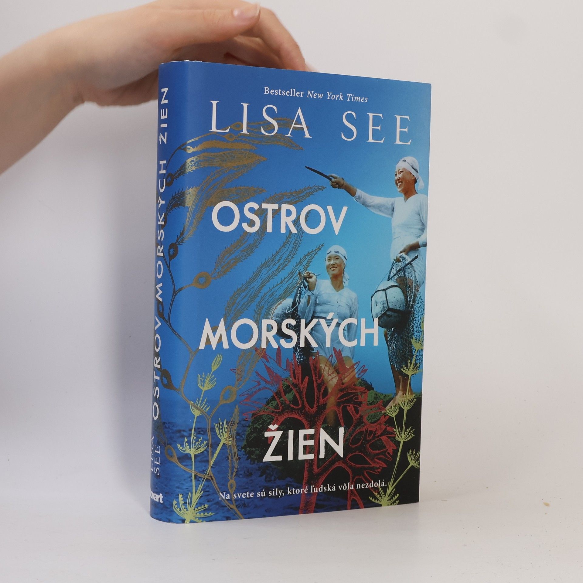 Lisa See Ostrov morských žien