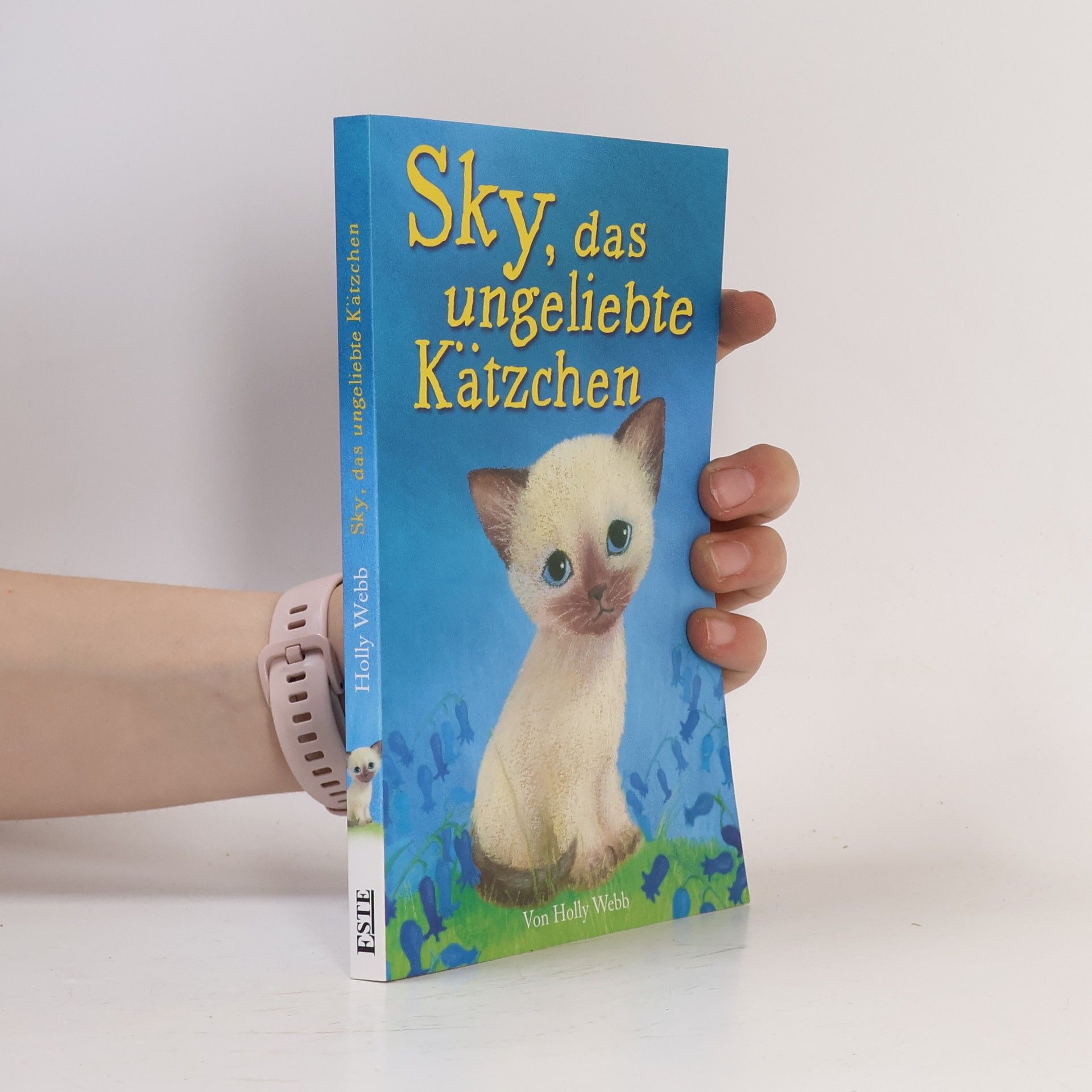 Holly Webb Sky, das ungeliebte Kätzchen